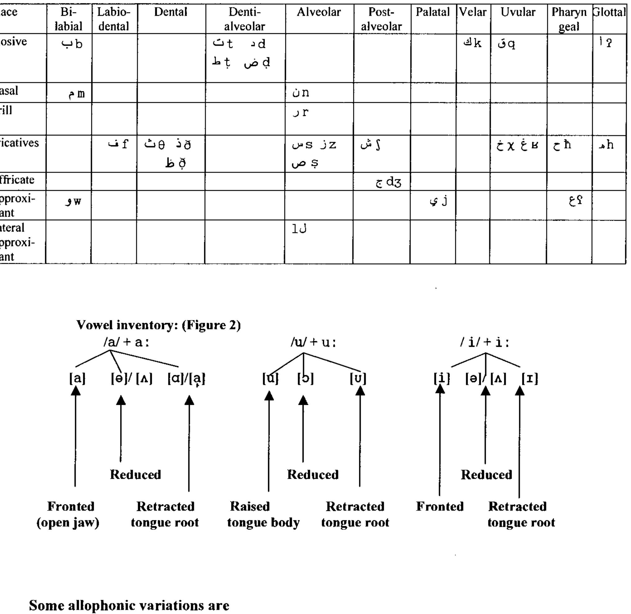Appendix 3. Sound inventory of the LHQ IPA version of segment Inventory of (LHQ) Table (1): Consonant Inventory 