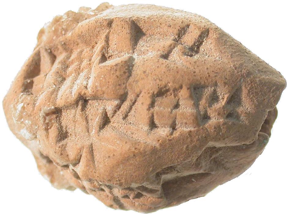 Figure 4: Bulla IA7.888 35 mm x 25 mm x 21 mm,  which is not from the dossier of Ili-ti-Samas at Lagaba. Photo: The Institute  Postscript:  In addition to the 17 dockets discussed here, there are two further bullae from the region, one in the Institute and the other in the Otago Museum. They have not been included in this study because they are not from the dossier of Il1- i-Samai at Lagaba. The Institute’s bulla [A7.888 (Figure 4) is in the shape of a rugby ball and records a receipt for barley. At this stage it is not possible to offer a more specific date for it than the Old Babylonian period. The Otago bulla (E47.15) dates to the 7" year of the reign of Amar-Suen of the Ur III dynasty (c. 2039 BCE).  