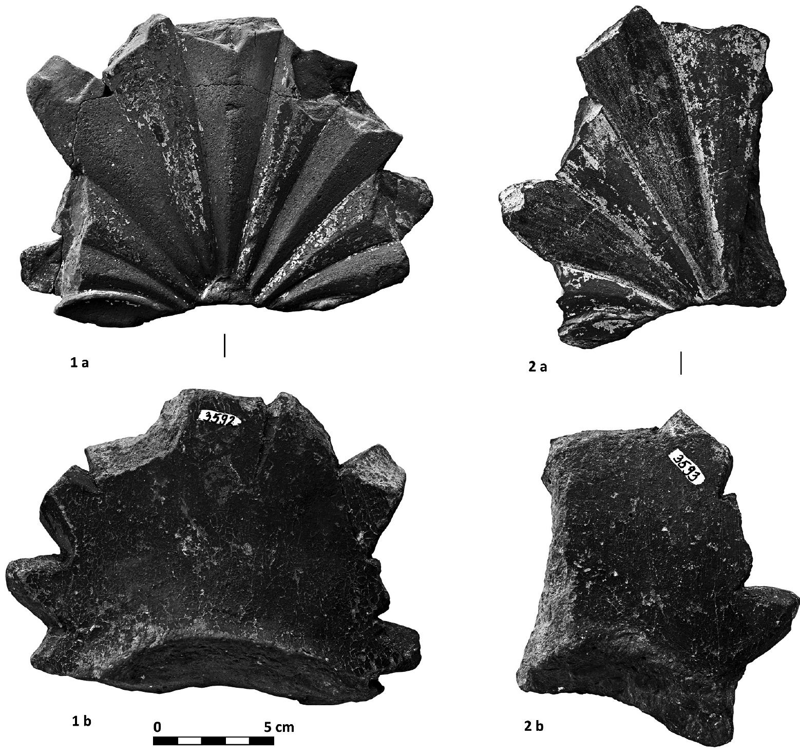 PDF) The Palmette Antefixes in the Black Sea Area: New Evidence 