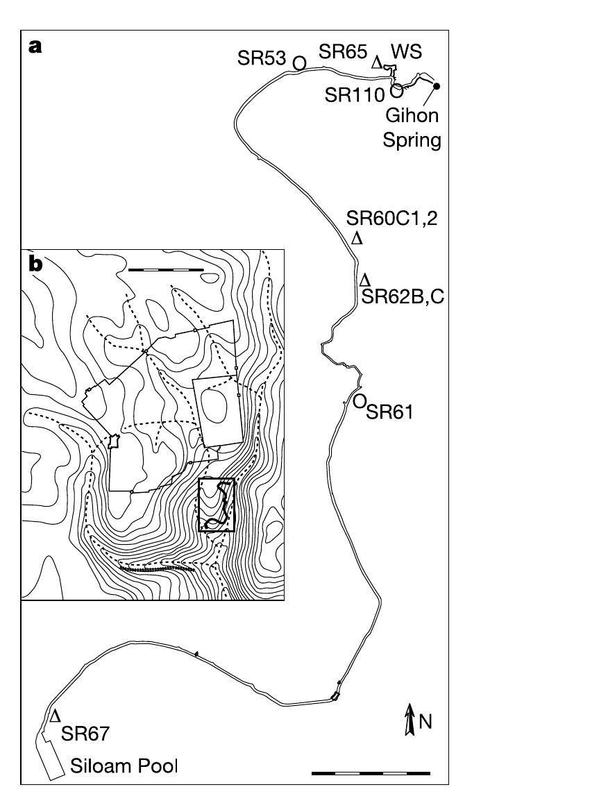 Figure 1 Location map. a, Plan of the Siloam Tunnel (Long. 35.17°; Lat. 31.68°) with th location of dated samples. Scale bar, 50 m. Circle, plant fragments within plaster, date by '*C AMS; triangle, speleothem sample dated by °°°Th—-*34U thermal ionization mas spectrometry. WS, Warren Shaft. b, Relation of the Siloam Tunnel (bold line) to the topography of Jerusalem and the present city walls. The Siloam Tunnel conveyed the water of the Gihon Spring into the Siloam Pool within the original core of Jerusalem. Contours are 10m (vertically) apart. Scale bar, 500 m.  The Siloam Tunnel carries water into ancient Jerusalem from the only perennial spring of the region, the Gihon (Fig. 1). This tunnel has attracted the attention of many scholars, who have yet to solve some of its mysteries*’’. Most scholars ascribe the Siloam Tunnel to King Hezekiah (727-698 Bc), following the biblical verses (2 Kings 20:20, 2 Chronicles 32:3,4) narrating that this Judahite king con- structed a waterwork that “brought water into the city”. In addition to the biblical record, the Siloam Tunnel’s association with Hezekiah also relies on the palaeography and philology of the monumental Siloam inscription found close to the Siloam Tunnel’s outlet (refs 14, 15 and references therein). However, the name of King Hezekiah is not mentioned in the inscription, unlike other monumental inscriptions of the Levant, which often praised monarchs for their architectural achievements. If the assumed date of the inscription is correct, it can still be argued that the inscription could be a later copy of a literary narrative, such as the ‘Chronicles of the Kings of Judah’, so the Siloam Tunnel itself may be older than the inscription. Such a view could be supported by the unique style, differing from most other North-Semitic inscriptions’. According to ref. 13, a  