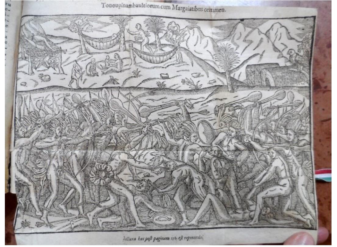 As for the travelogue of Reverend Jean de Léry, the French preacher, one can say that the almost contemporary description of the Tupinamba “Indians” differed in some respects from Staden’s view, but remained similar in others. Fig. 5 shows for example one of the illustrations of Léry’s account depicting the “barbaric” way of life of the Tupinamba (Léry, 1586a). There was also a focus on cannibalism in this case, but as a Calvinist pastor Léry drew a mote positive, promising, sometimes almost idealized picture of the Brasilian natives. He placed them in Paradise, that is, the imagined, Christian, “earthly paradise”, in his writing, and a similar depiction was conveyed in the illustrations attached to the work. Fig. 6 shows one such innocent Indian family living in almost sacred ignorance and simplicity (Léry, 1596, 90). As with Staden’s work, Léry’s account provided a description of plants and animals from the indigenous flora and fauna of Brasil, and they both also enabled European readers to learn about the “amazing” and “remarkable” customs of the “Indians” as well. Léry’s account in particular, for example, was tichly illustrated with engravings of the “simple” Tupinamba living in “paradise”. As for the historical context of his transatlantic voyage, Reverend Léty traveled to South-America (the region around the Bay of Rio de Janeiro) in 1557. He was one of the thirteen Calvinists sent there from Geneva by Jean Calvin (1509-1564) himself in order to propagate their religion and to be able to practice it there without difficulty (Lestringant, 2004, 77-128); on the importance of the travelogue of Jean de Léry for early modern European cultural anthropology, the philosophy of the “other” and the cultural practice of “othering,” see the work of De Certeau (1975).  