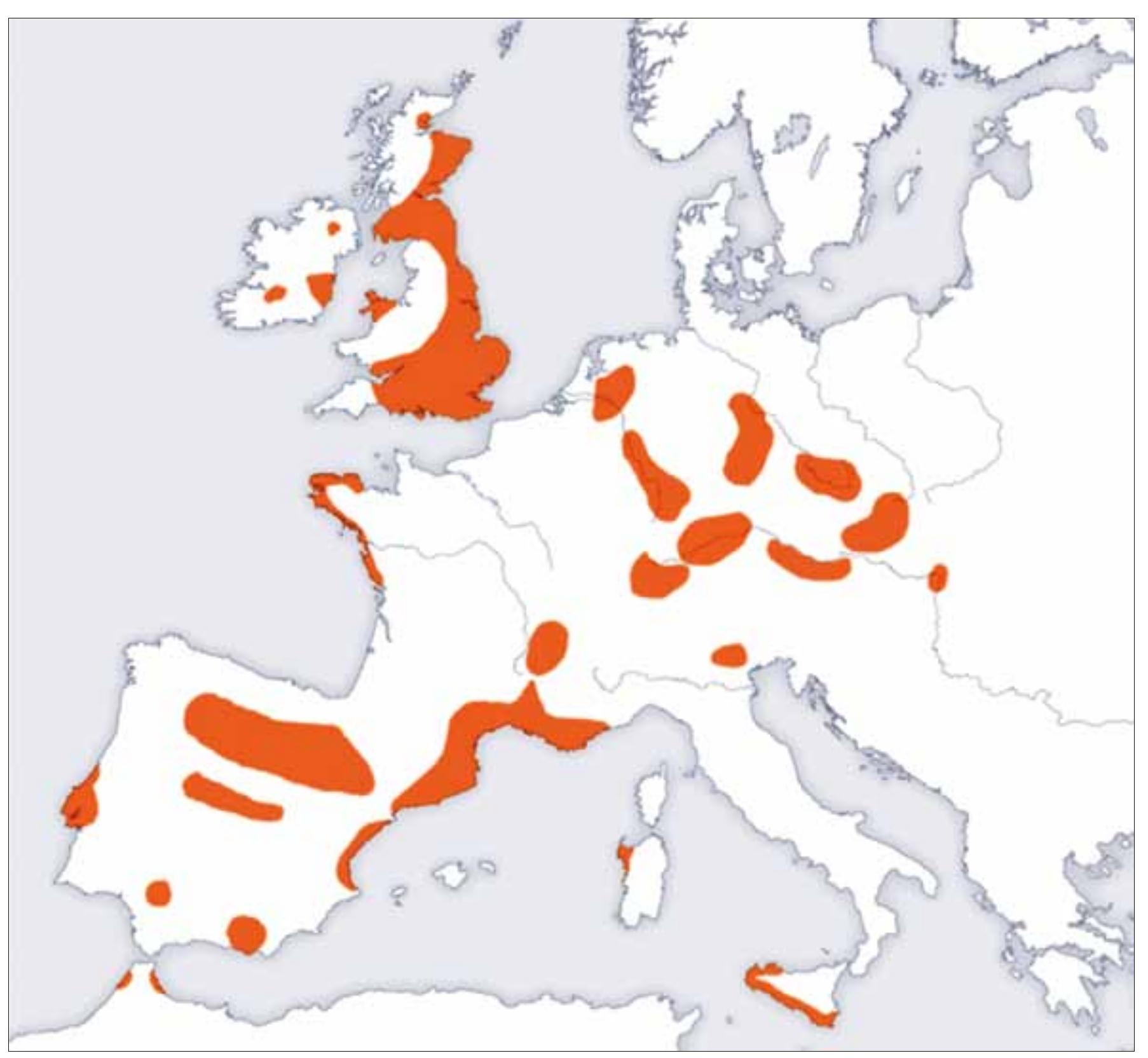 Fig. 1. The distribution of the Bell Beaker Culture (after Care 2004, source: https://www.google.at/search?q=Bell+Beake +culture+map&safe=active&tbm=isch&tbo=u&source=univ&sa=X&ved=0ahUKEwiQjljw27 PWAhXIJ8AKHaLqC6QQsAQ: Qw&biw=1024 &bih=473#imgrc=PViyA5K3VExIoM). 