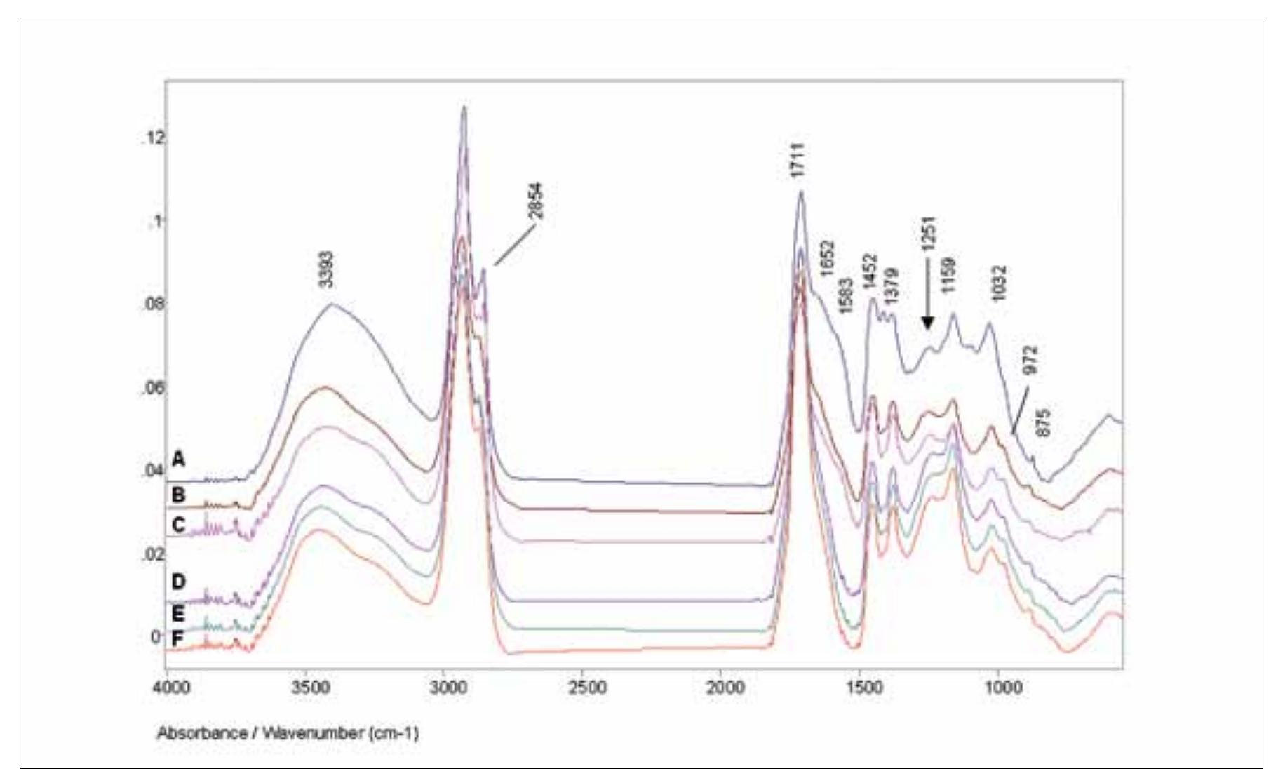 Fig. 13. Amber finds from the Hungarian Bronze Age: ATR FTIR spectra. A-653211 (K6tegyan, depot find, bead); B-102! (Budakalasz MO/S-12, Grave 1025, bead); C-46194868 (Fiizesabony-Oreg-domb, settlement layer, bead); D-319523: (Hernadkak, gravegood, bead); E-11952188 (Megyasz6, Grave 121, bead); F-11952152 (Megyasz6, Grave 95, bead). 
