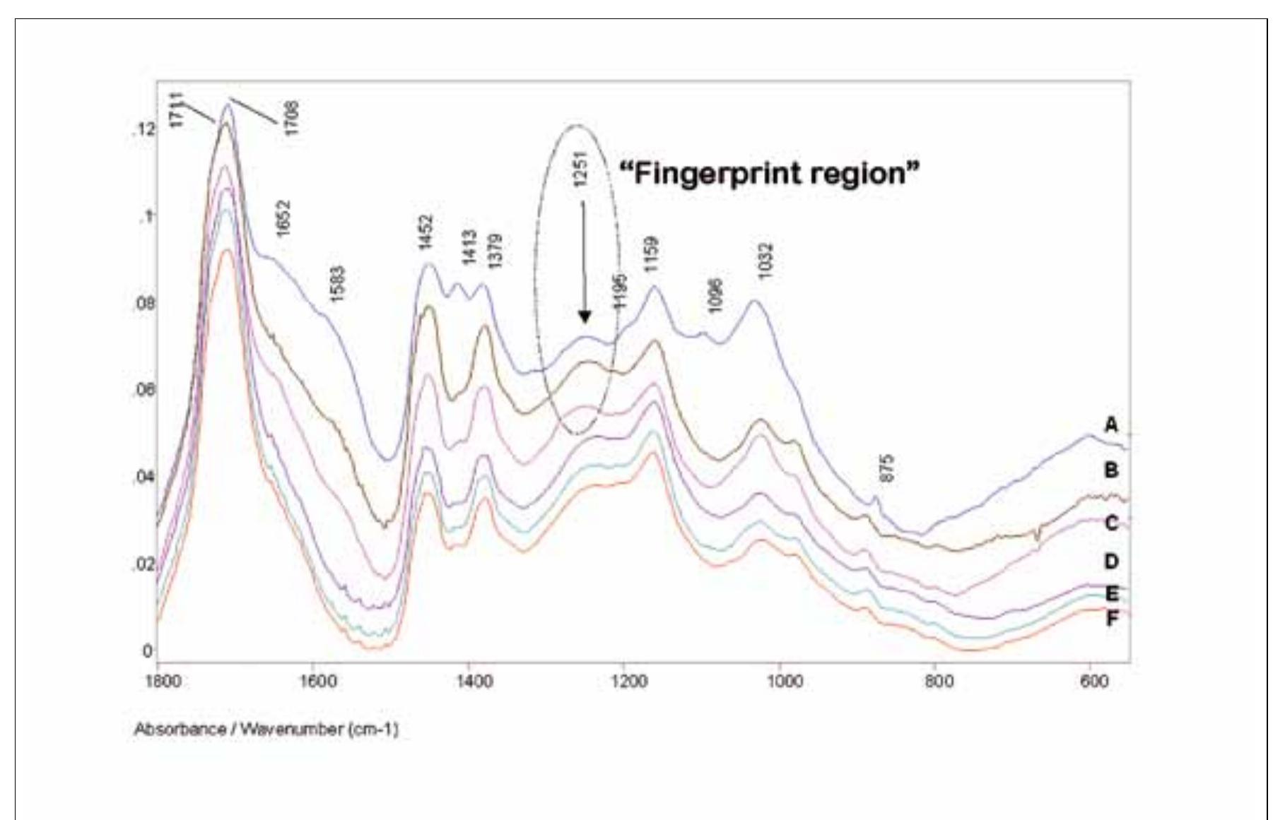 Fig. 14. ATR FTIR spectra of amber finds found in Hungary with the so-called Baltic shoulder around the 1200 cm-1 region (‘fingerprint region’). A-653211 (Kétegyan); B-1025 (Budakaldsz MO/S-12, Grave 1025); C-46194868 (Fiizesabony-Oreg- domb); D-3195232 (Hernadkak); E-11952188 (Megyasz6, Grave 121); F-11952152 (Megyasz6, Grave 95). 