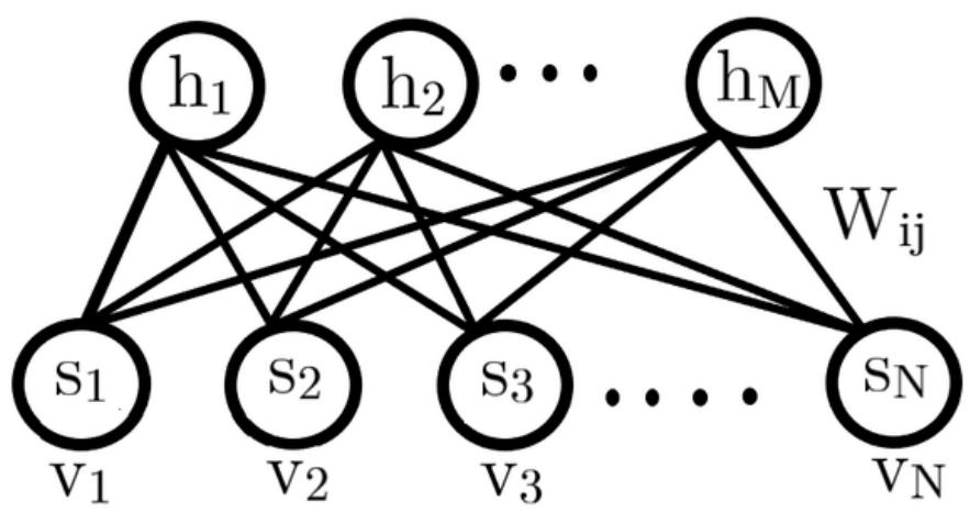 The structure of a restricted boltzmann machine''®. the spin