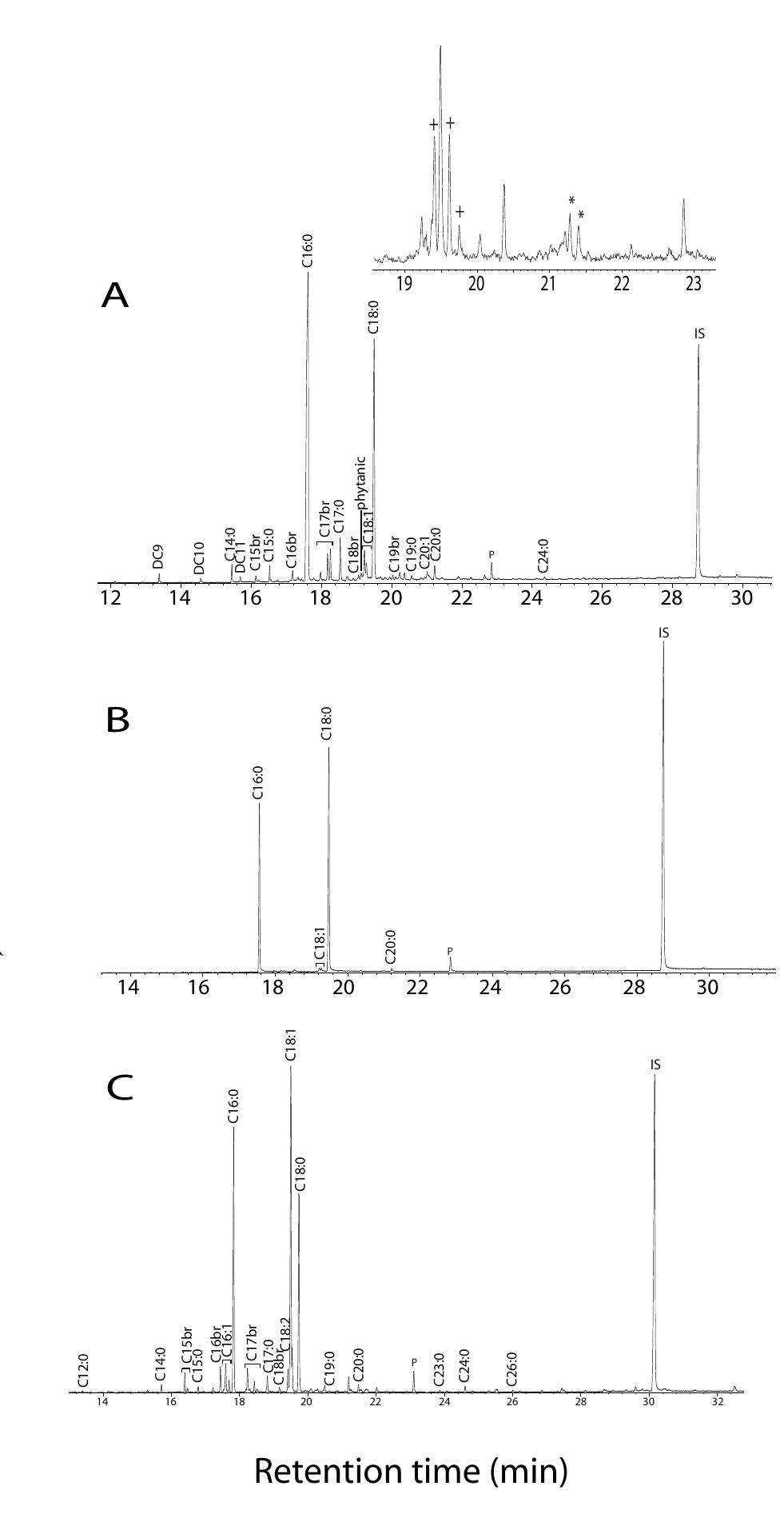 Examples of partial gas chromatograms of lipid extracts from