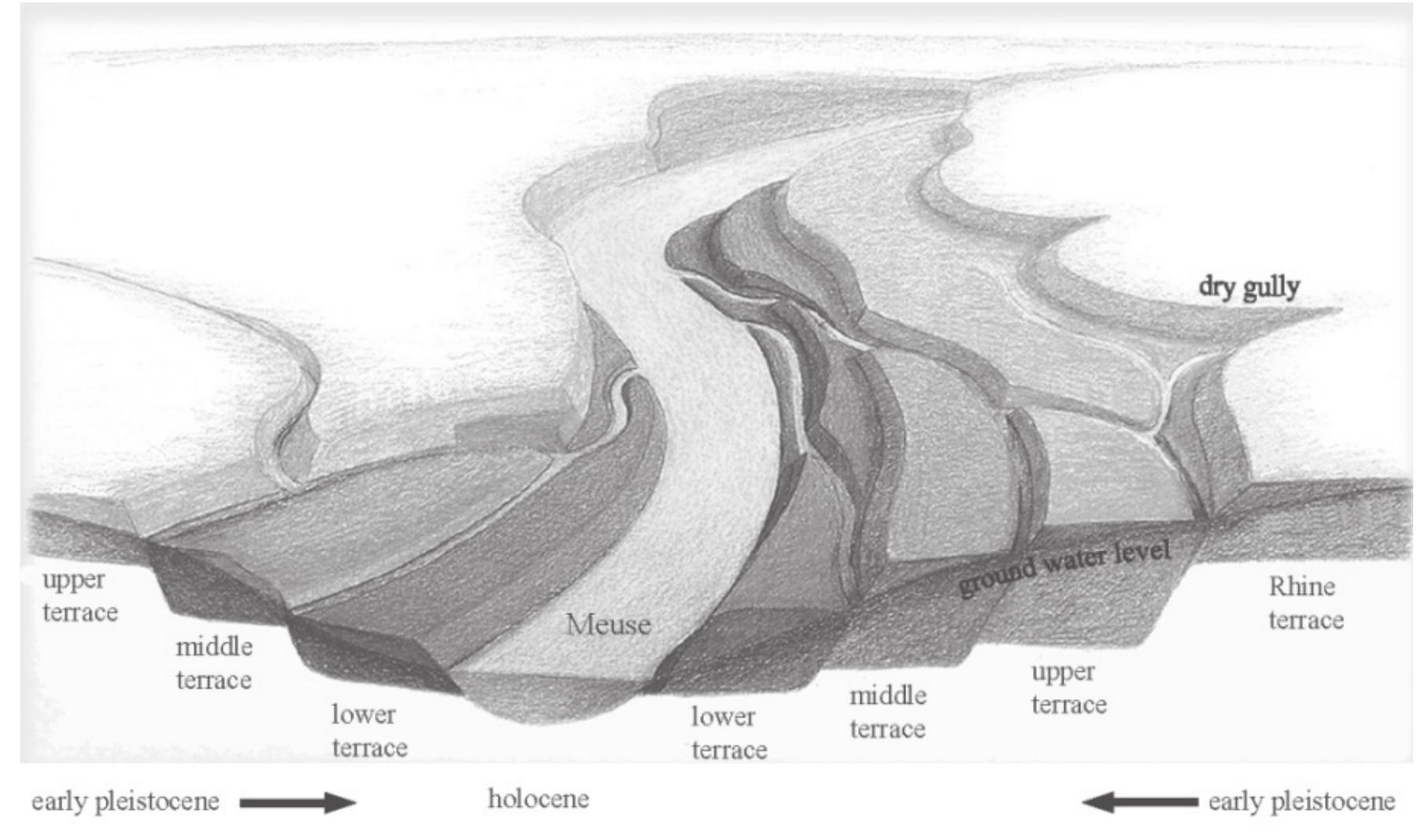 Fig. 13.1 Schematic overview of the different Meuse river terrace floors (© E Meijs).  The landscape of southern Limburg has mainly been shaped by the activities of the Meuse river in the Quaternary period (Van Wijk et al. 2014). The region was tectonically lifted and slightly tilted on a north- east-south-west axis, which shifted the location of the Meuse river valley westward to its current position. The cyclic alternation of gravel deposition during the colder glacial periods, and the incisions by the Meuse river and its tributaries during the warmer interglacials, created a stepped pattern of river terraces (Fig. 13.1). 