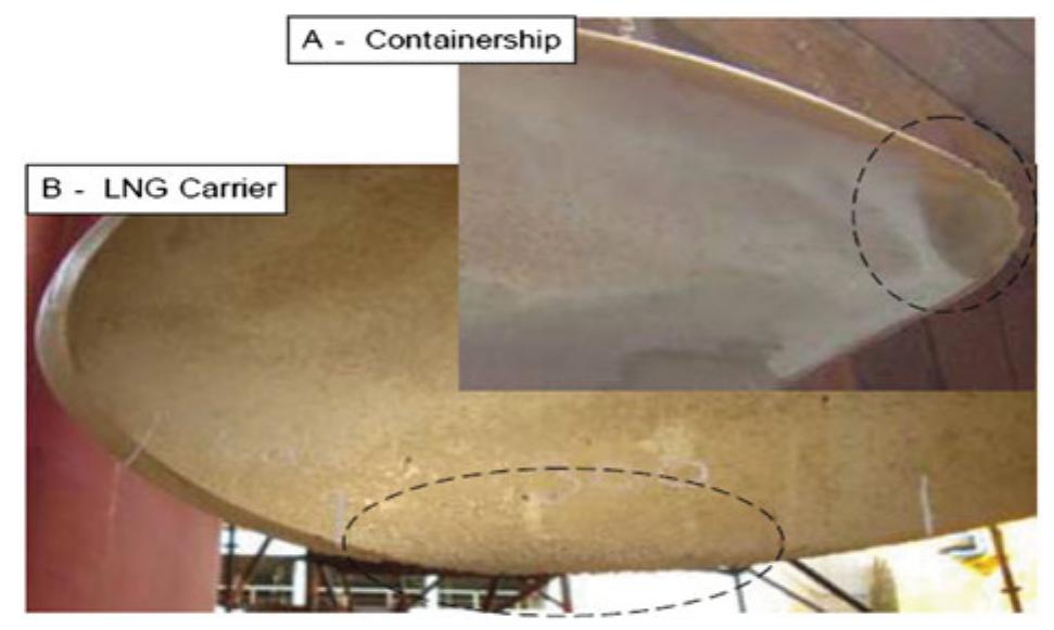Figure 1. Erosion of the propeller tips (Boorsma and Whitworth 2011). (This figure is available in colour online.) 