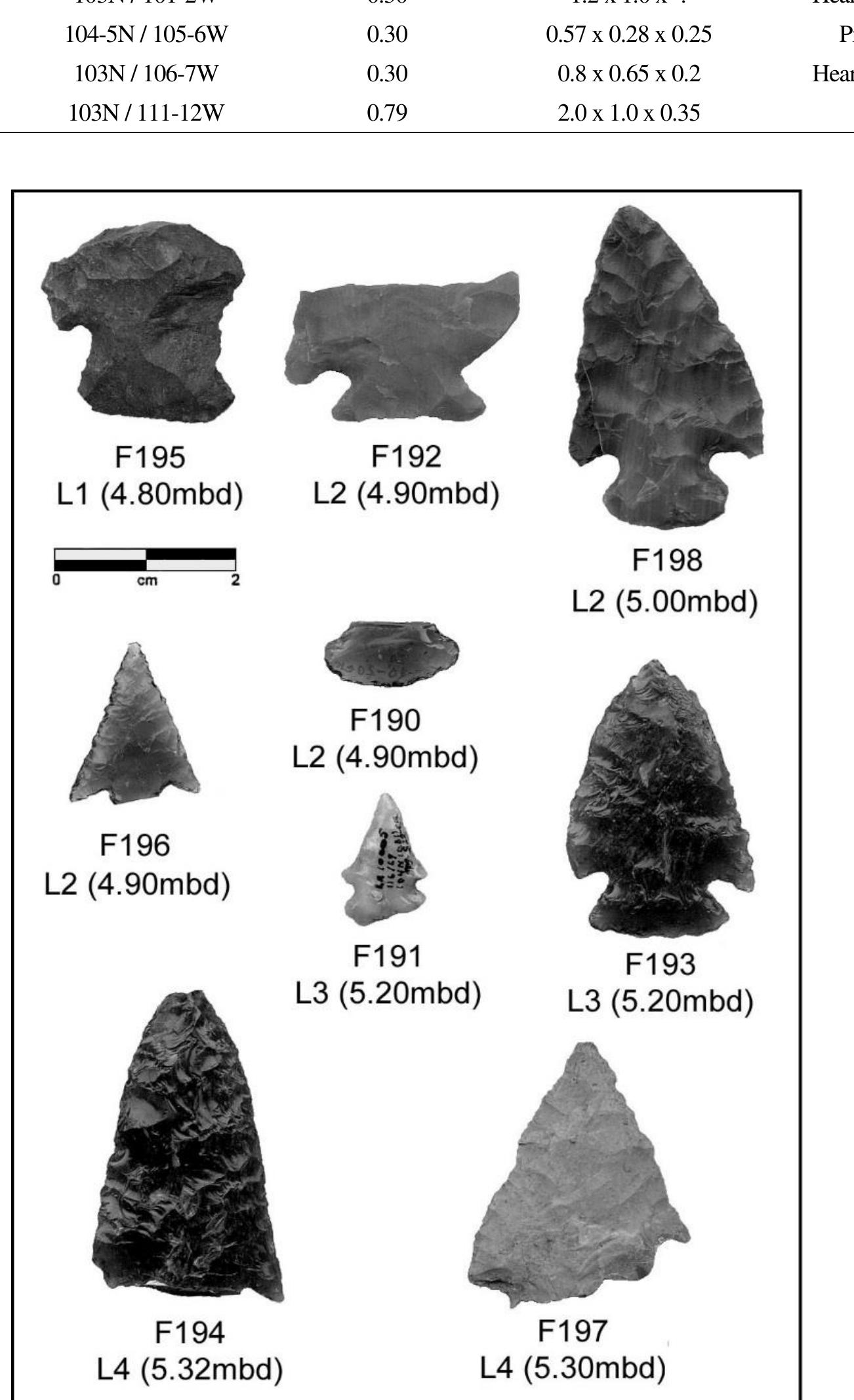 13. projectile points from westover shelter — la 59160.