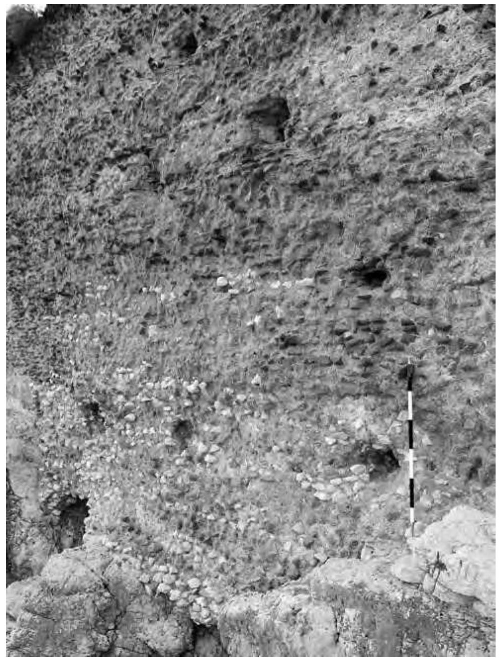 Fig. 9. Detail of the eastern foundations (cf. fig. 6). Below to the right: stairway carved into the rock (© W. Filser, Winckelmann- Institut, Humboldt-Universitat).  Fig. 8. Geological strata of limestone divided by a gap in front of the garden wall. Easily discernible is the rugged surface of the upper stratum, while the lower one is very smooth and suitable for being worked (© M. Makki, Geographisches Institut, Humboldt-Universitat). 