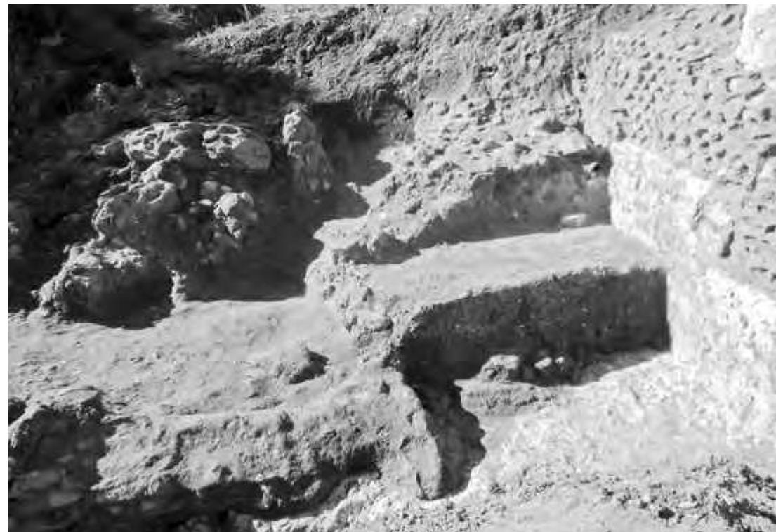 Fig. 12. The lower part of the E ramp (during excavation 2016), which rests on the quadrant-shaped rock platform and is backed by two lateral walls in opus reticulatum, the left one freestanding, the right one resting on the rock. Centrally at the bottom is the semicircular negative impression of a brick-formed half-column inserted into the reticulatum wall flanking the ambulatio, which led from here towards the pars rustica (© W. Kennedy, Winckelmann-Institut, Humboldt-Universitat). 