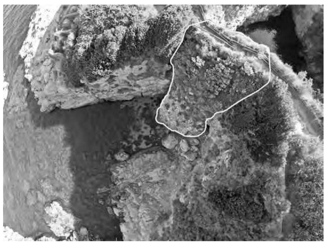 Fig. 15a. Aerial view of the rockslide (outlined) seen from the outer port (from the west). At top right is the inner port (both photographs © W. Filser, Winckelmann-Institut, Humboldt-Universitat). 