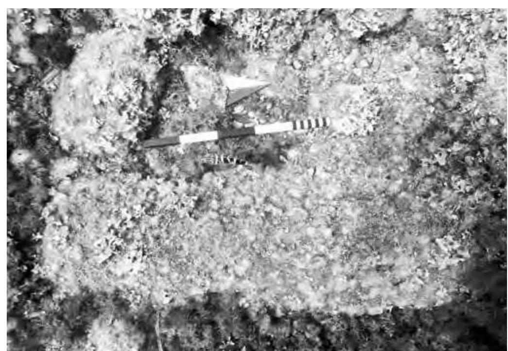 Fig. 17: Small stone column found in the harbour basin next to the islets (© Michaela Reinfeld, DAI Berlin). 