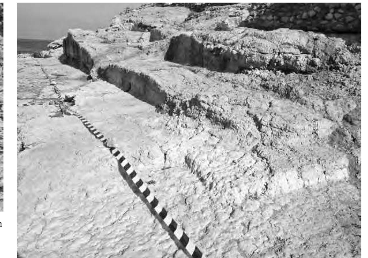 Fig. 21. The S border of the garden carved into the rock, seen from its W corner (© W. Filser, Winckelmann-Institut, Humboldt-Universitat). 