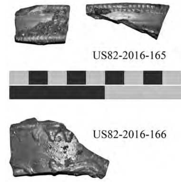 Fig. 34. Terra sigillata sherds from WS5 (© C. Klose, FSU Jena). 