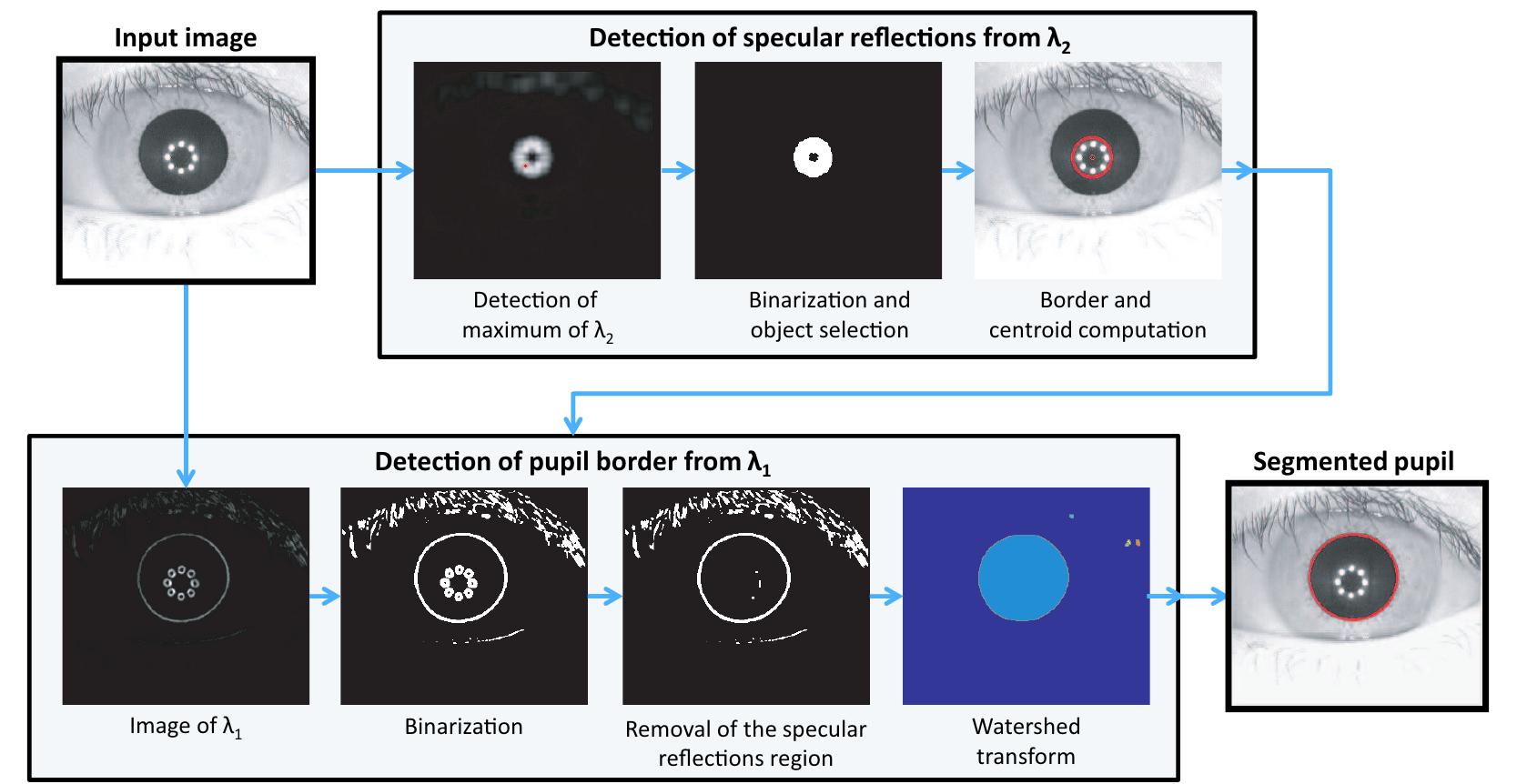 Figure 3 - from Iris Pupil Detection by Structure Tensor