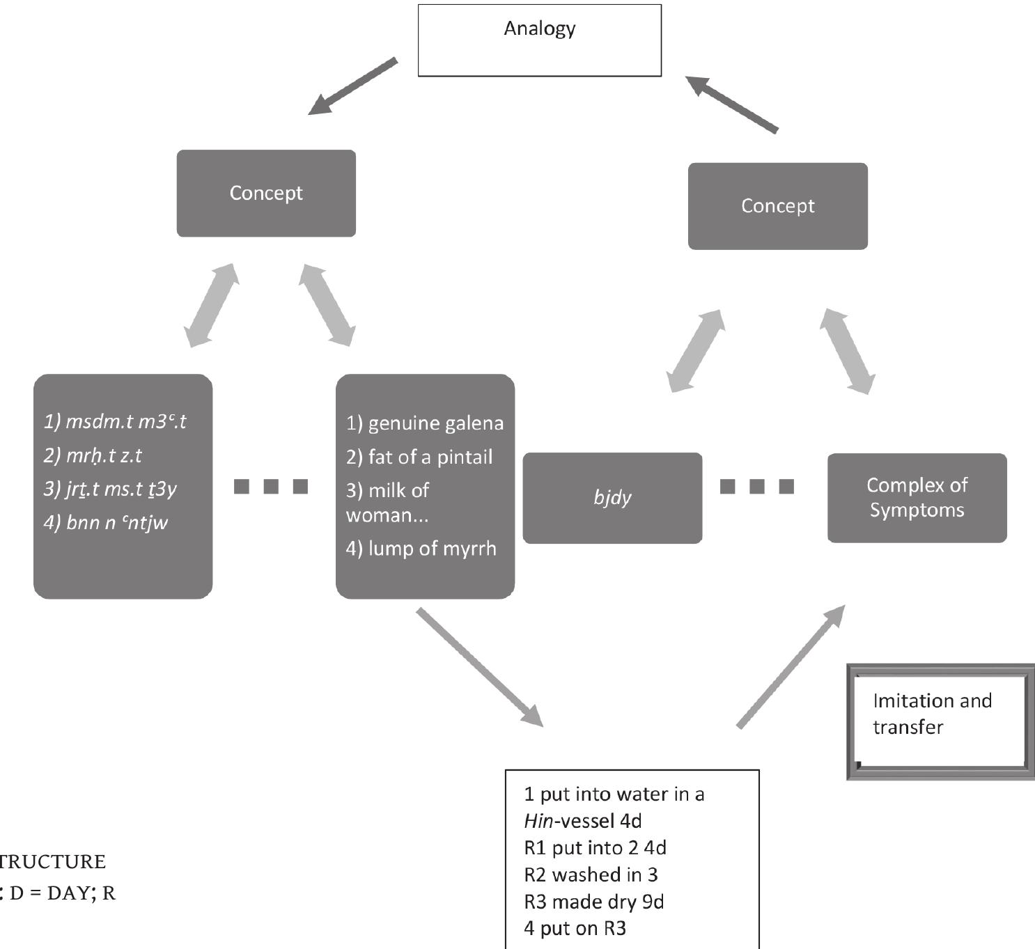 FIGURE 7: ASCARIS LUMBRICOIDES. SOURCE: PUBLIC HEALTH IMAGE LIBRARY (PHIL.CDC.GOV).  From an emic point of view the complex of symptoms was aligned to drugs that are optically analogues to the symptoms. Additionally, these drugs were embedded in complex mythic narratives (not discussed here) reinforcing their power. The process of manufacture recreated visually comparable conditions able to reverse (phr.t! - for this terminus, see Pommerening 2016) the pathologies (bjdy-symptome) in the eye. To get rid of the disease the process must be seen as transferring the symptoms to the analogous counterpart (Figure 5). 