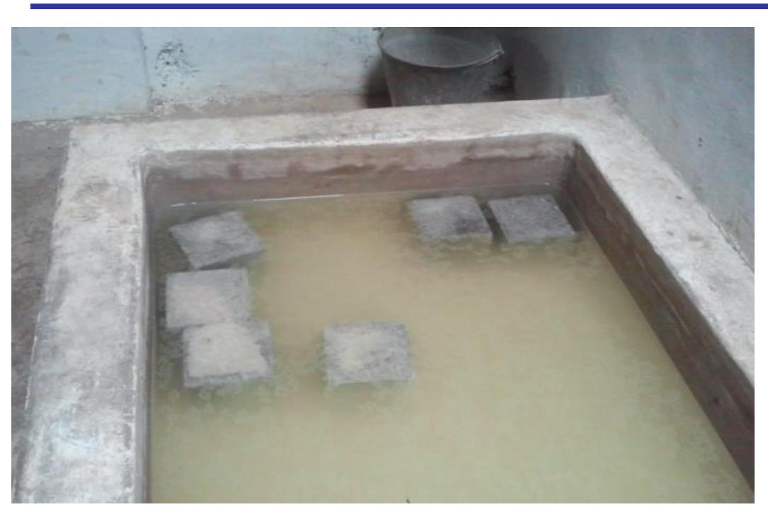 :cubes in water tank for curing table : 6 - compressive