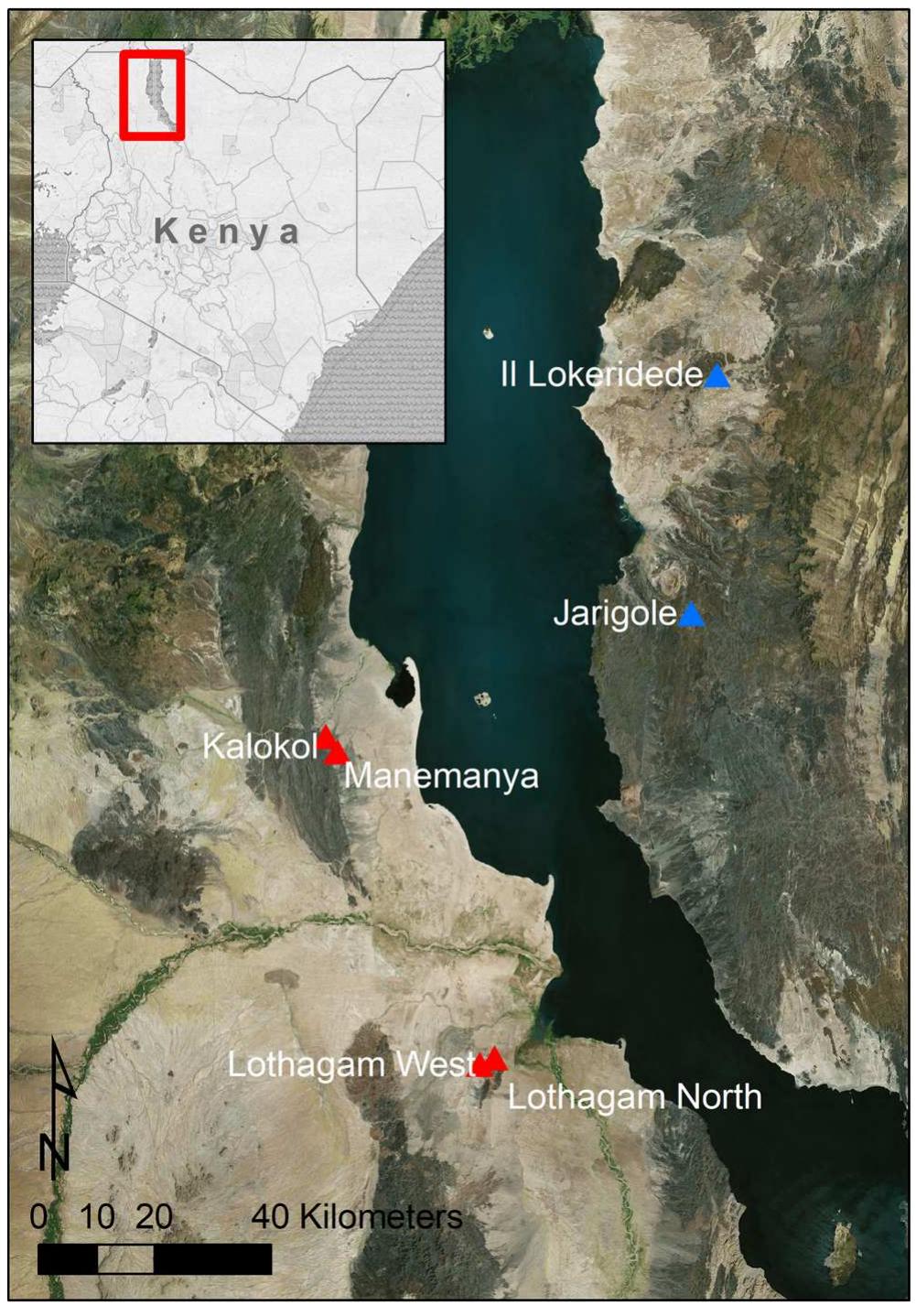 Fig. 1 Map of pillar sites around Lake Turkana. Previously excavated sites are in blue; sites described in this paper are in red. Main map © Earthstar Geographics SIO and Microsoft  Pillar sites are named for their linear or semi-circular arrange- ments of naturally occurring basalt and sandstone ‘pillars’, which people dragged from sources up to 2 km away and placed in circular or elliptical platforms of mounded stony fill. Stone circles and cairns were constructed on the margins of some pillar sites (Grillo and Hildebrand 2013; Hildebrand et al. 2011, 2018; Hildebrand and Grillo 2012). Six pillar sites are known around Lake Turkana: four on the western side, and two on the eastern, all located on imposing points overlooking the paleo-lakeshore (Fig. 1). Today, people living on the west 