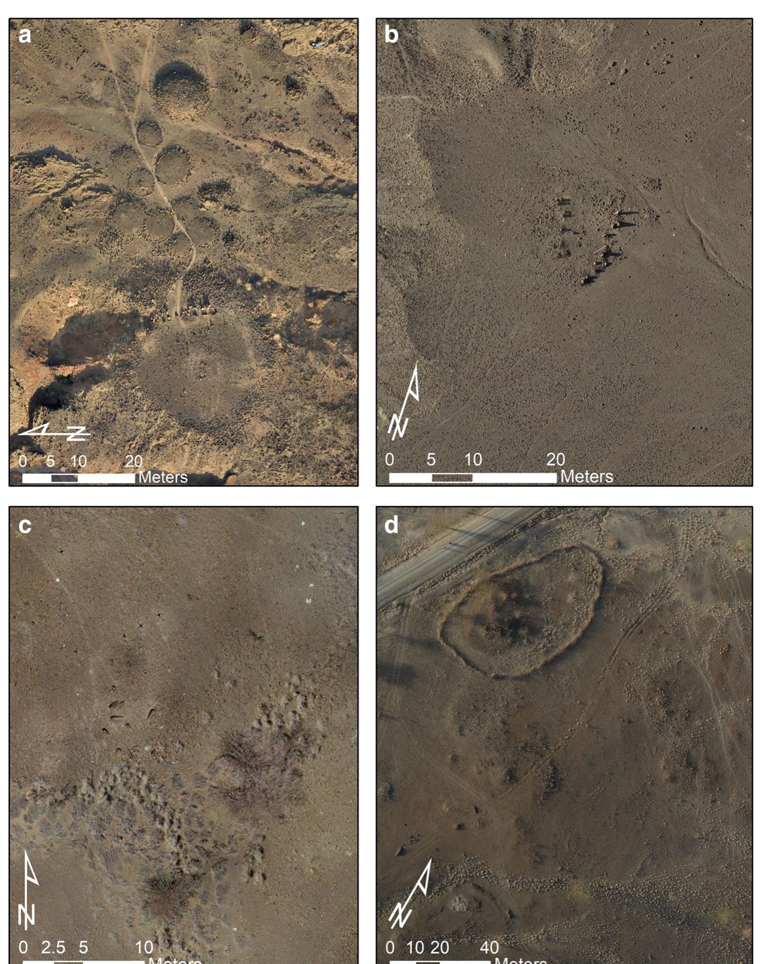 Drawing on new bioarchaeological findings, we can now re-evaluate earlier hypotheses about how pillar sites were con- structed and used. For Lothagam North, Lothagam West, and Manemanya, we report funerary practices and associated ar- tefacts. We also explore the biocultural impact of environmen- tal, economic, and social transitions on early herder popula- tions around Turkana as reflected in aspects of human biology. Because excavations at Lothagam North were most extensive, we present results for this site separately from Lothagam West and Manemanya. However, overarching patterns in the mor- tuary and osteological data provide important information on the people who built these three sites and are pertinent to  