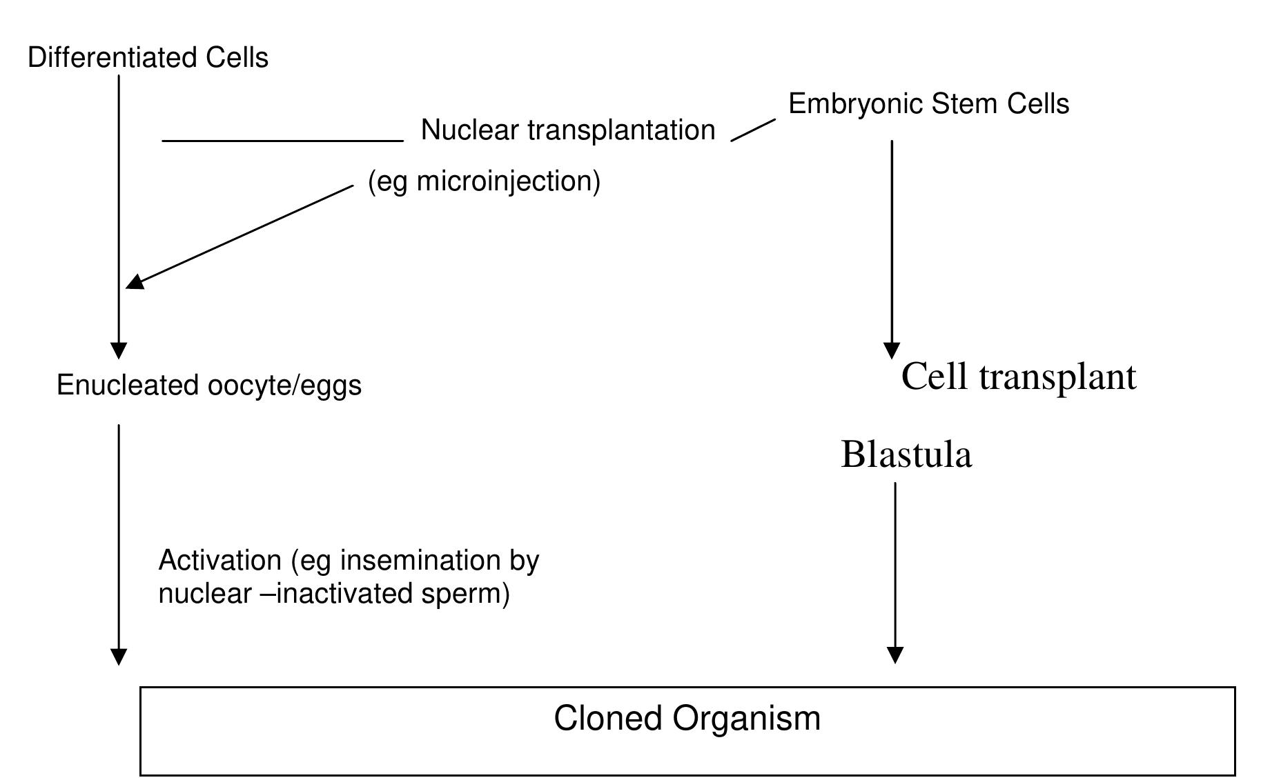 (PDF) THE REVIEW OF RECENT ADVANCES IN FISH GENETICS AND BIOTECHNOLOGY