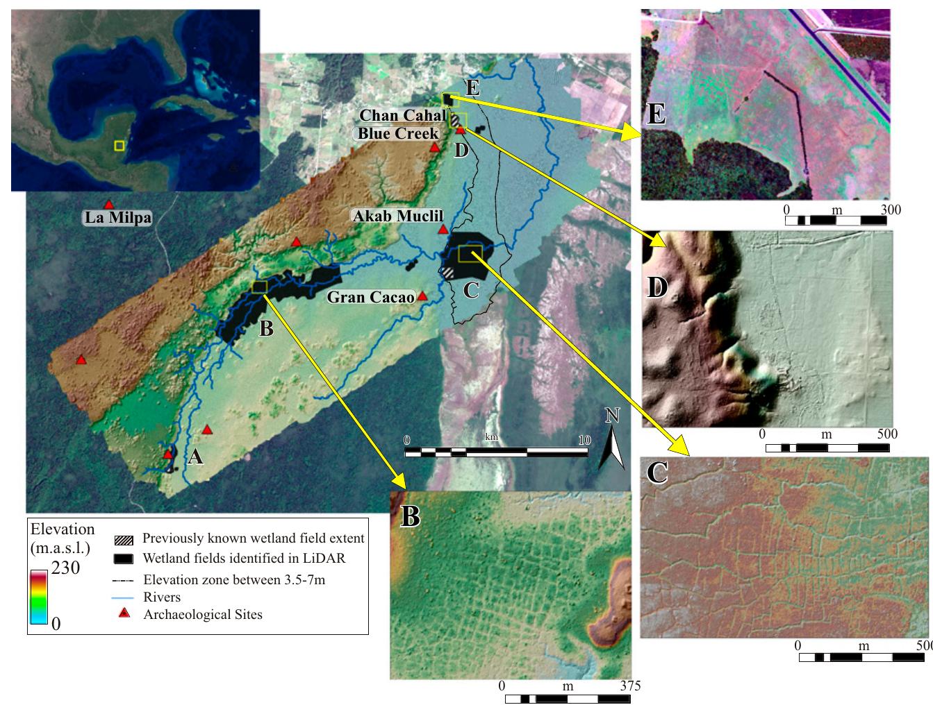Fig. 1. (Upper Left Inset) Location of study area. (Left) Sentinel-2 image overlayed with lidar-derived DEM. (Right) (E) Chan Cahal North shown using the lida intensity image, Chan Cahal West shown using the lidar bare-earth model (D), a portion of BOP (C), and the central Rio Bravo floodplain (B) using the the lida bare-earth model. We discuss Chawak But'o’ob zone (A) in the text. 