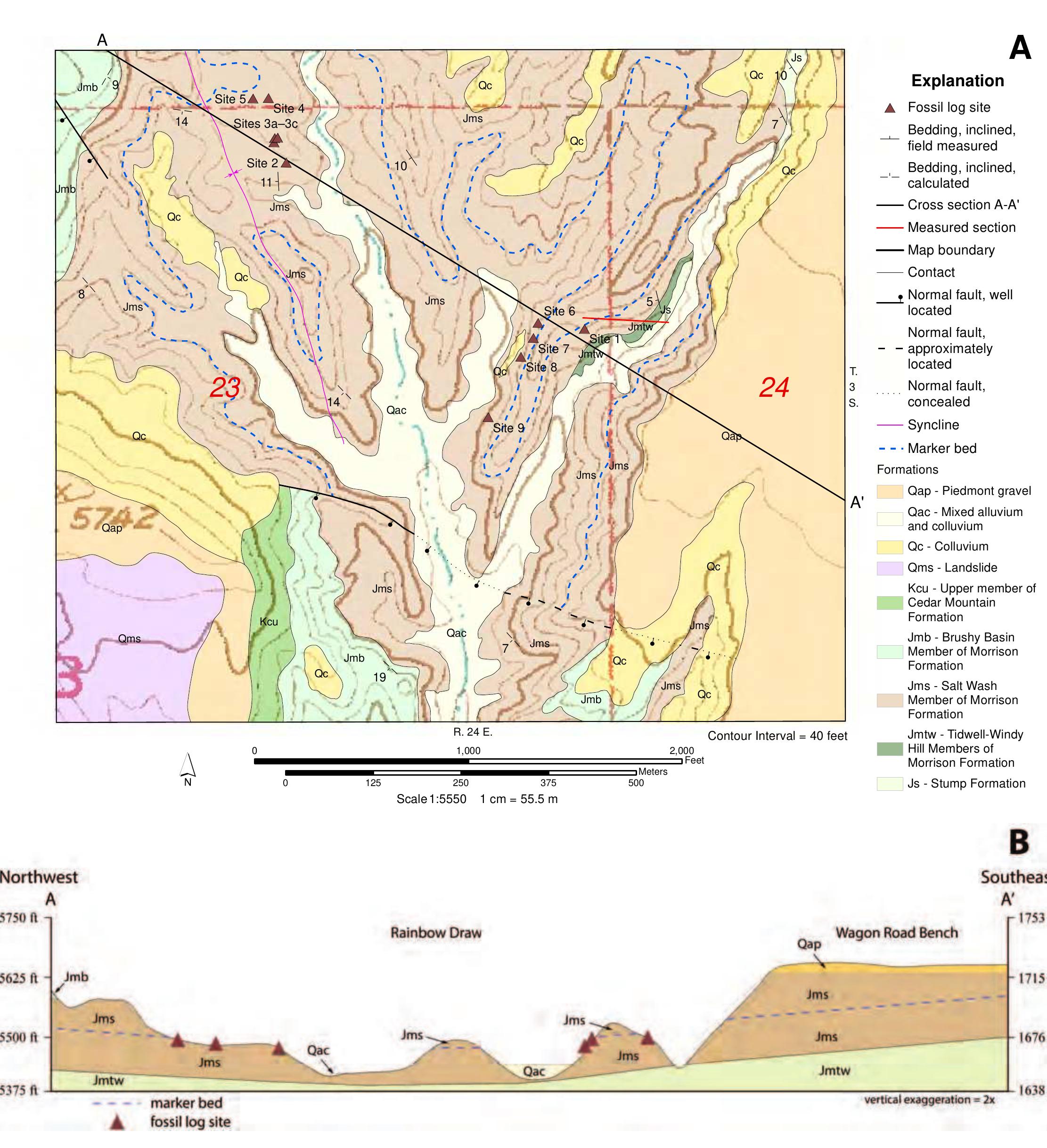 (PDF) Stratigraphic Setting of Fossil Log Sites in the Morrison ...