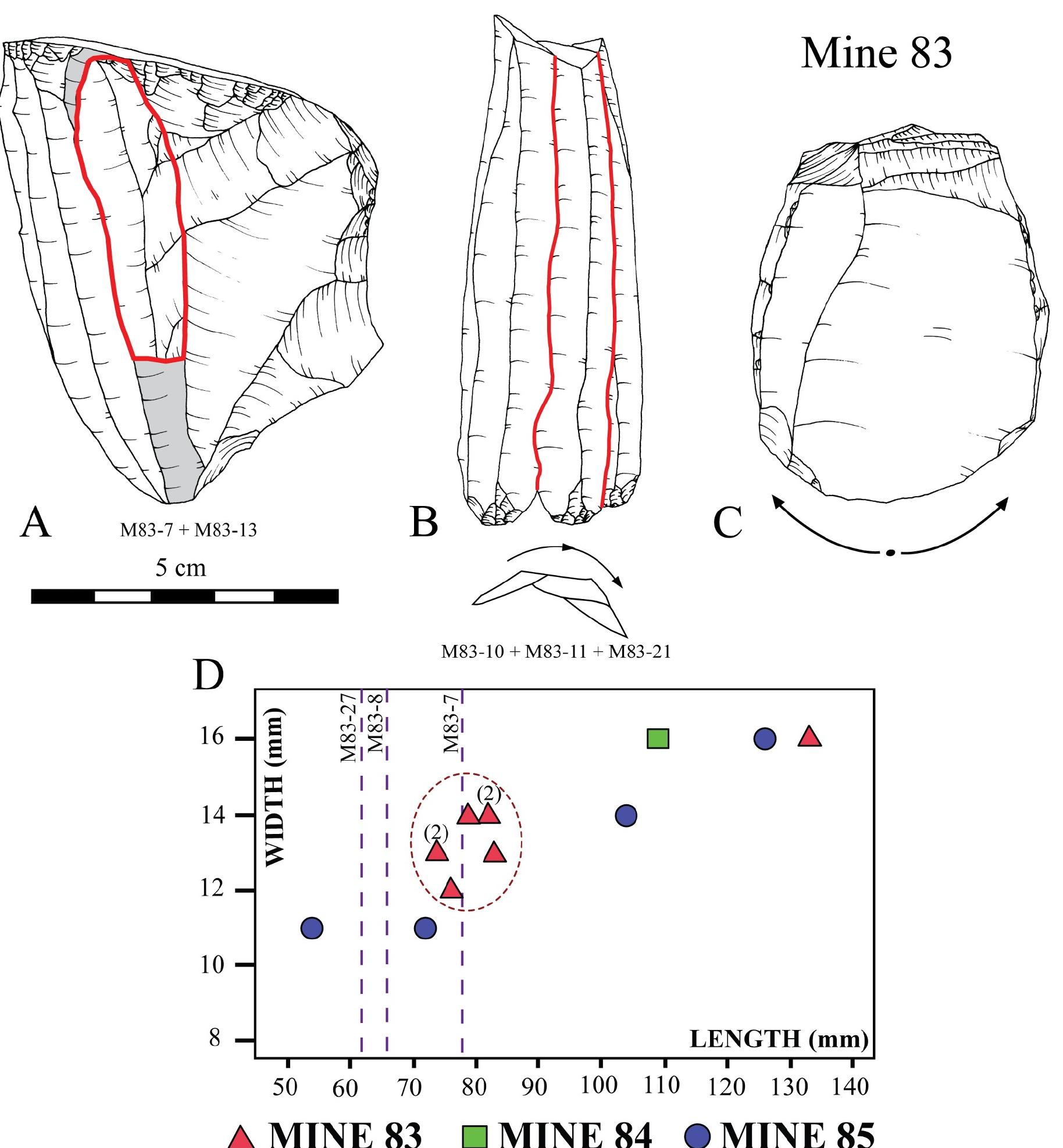 Fig 5. Refittings of Barremian-Bedoulian flint from Mine 83. Core and blade (A) and a set of three blades (B); direction of the knappins sequence in the same core (C); and measurements of the complete Barremian-Bedoulian flint blades from the Ferreres sector (D). Dotted lines in D indicate the maximum length of the exploitation surfaces of Provencal cores recovered in Mine 83.  