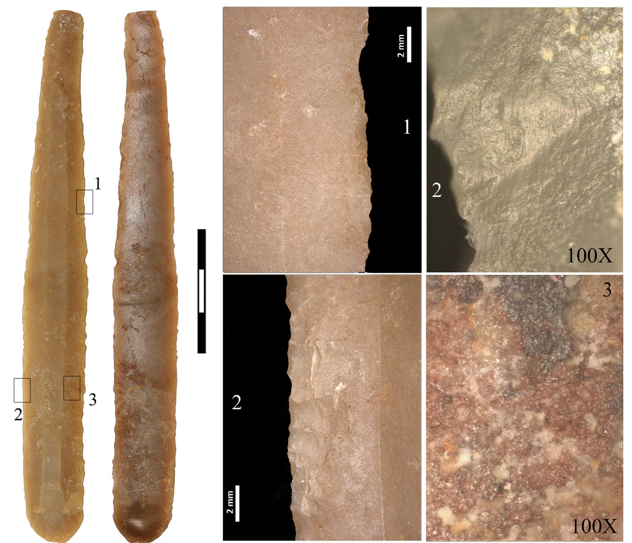 Fig 6. Diagnostic use-wear of soft-plant processing on both edges of the largest Barremian-Bedoulian blade found south of the Pyrenees. Note that both edges are retouched (1) and at microscopic level display marked rounding and abrasion that extends towards the centre of the blade. The polish does not look very compact because of the numerous striations characterising the abrasion (2). Blackish residue in the central part is possibly a  product of the material used to haft the blade (3).  