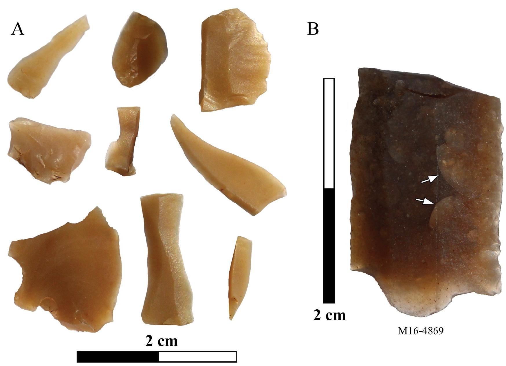 Fig 8. Small fragments and chipped debris of Barremian-Bedoulian flint from Mine 16 (A) and macroscopic scales on a thermally altered surface of a blade fragment in Barremian-Bedoulian flint (B).  https://doi.org/10.1371/journal.pone.0224238.g008 
