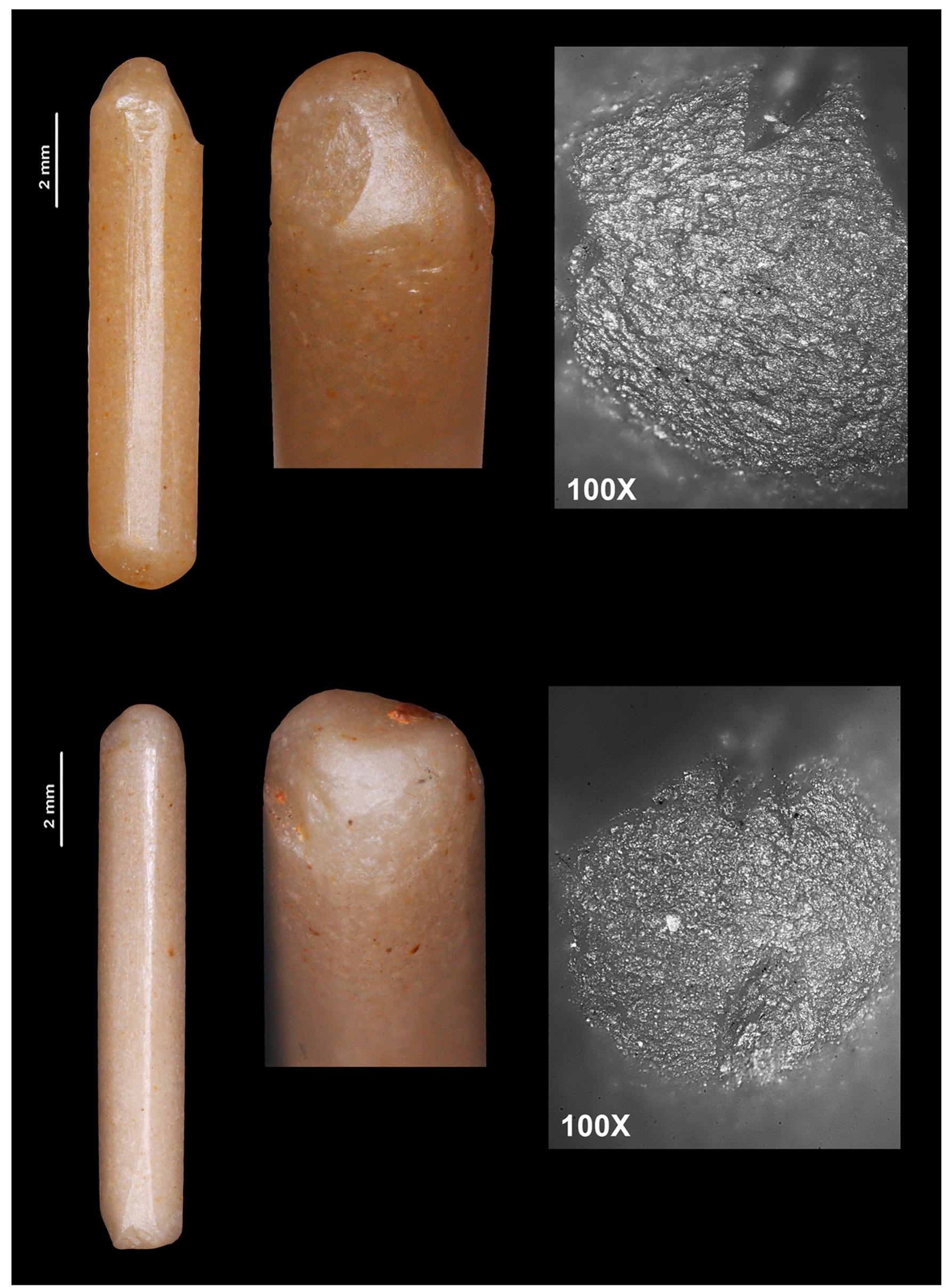 Fig 12. Drills made with honey flint bladelets. The upper one (M16-8069) was used at both ends, which have become totally rounded. The macroscopic photograph shows scars that continued to be rounded. This is probably the result of the pressure exercised during the work. The lower drill (M16-5096) was also used at both ends. Some scars produced during the drilling work can be observed at the distal end, while the proximal end seems to have broken but continued in use. 