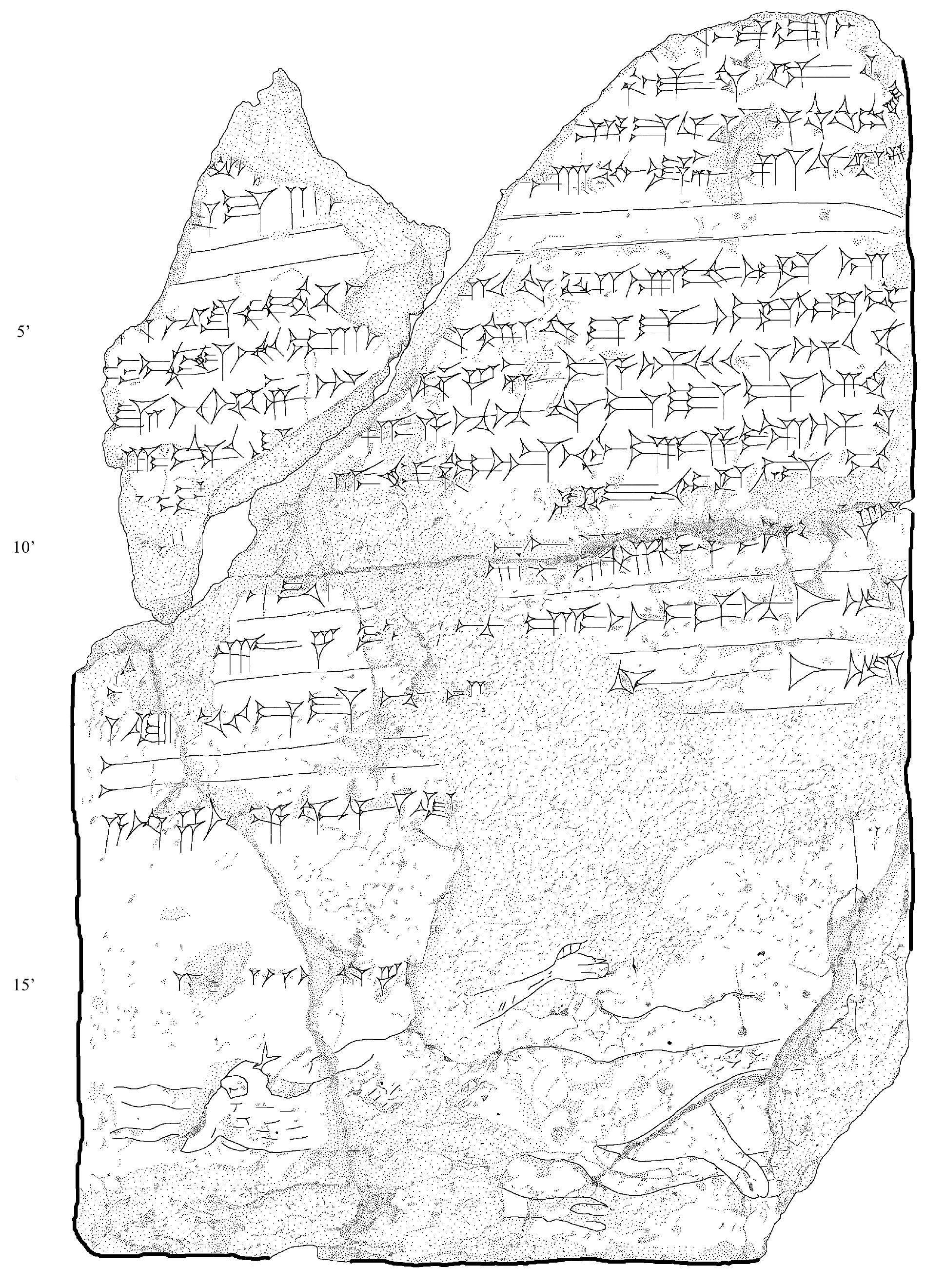 Fig. 3: Drawing of the reverse of BAM 202 