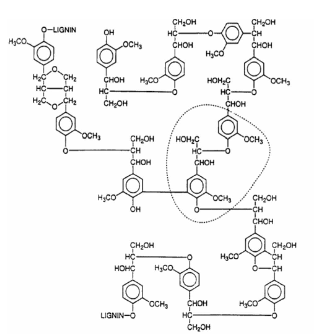 Structure of lignin.