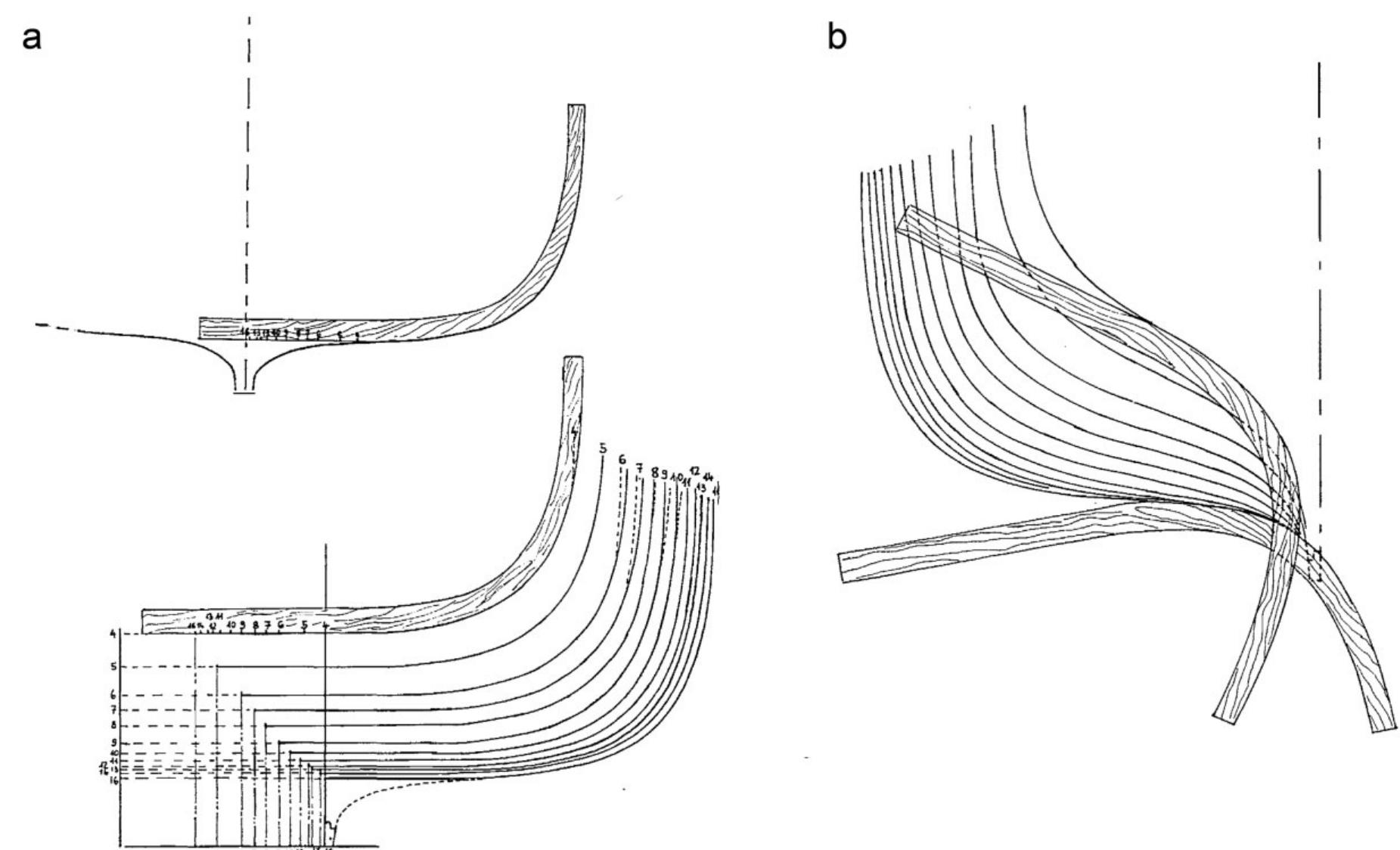 Hull Shell Shape (PDF) The Conception of Hull Shape by Shell-builders in the Ancient ...