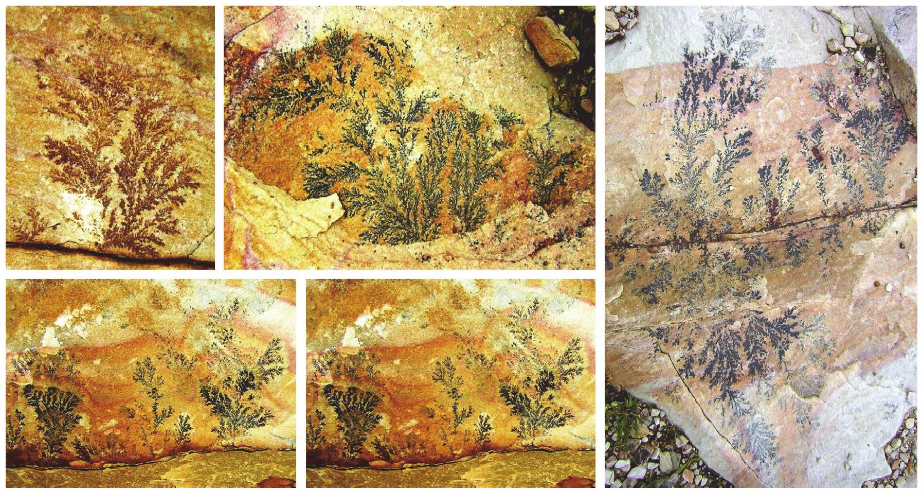 Figure 2: Dendritic crystal structures in rock, Churyari village 