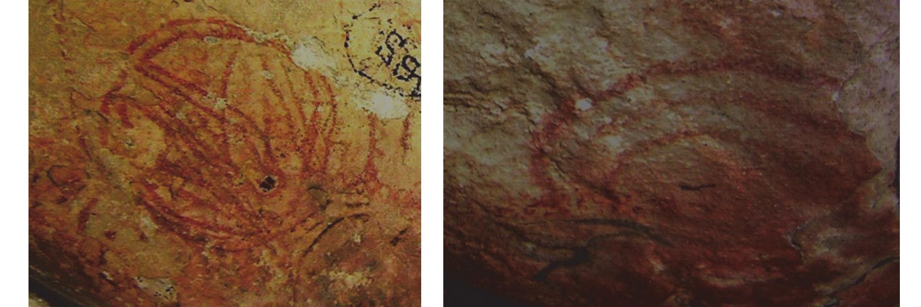 Figure 9: Painted motif, Rasulpur  Figure 10: Geometric motif, Rasulpur  and another line drawing showing 6 circles published by Pradhan (2002: 90). Representation of concentric circles or labyrinths is not observed in other rock shelters of Fatehpur Sikri group. These concentric circles might be simple geometric designs or may be related to philosophical beliefs of the then people. Kumar has dealt the aspect of concentric circles in some detail (2015: 84-104). Srivastav (1993: 28) had proposed some Vedic and yajna related affinities of concentric circle designs at Rasulpur and Patsal, but it is difficult to concur with such proposition as the persons who were making these paintings in rock shelters might not have belonged to such advanced societies or beliefs. 