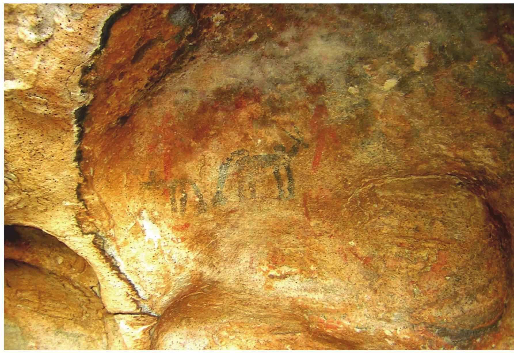 Figure 35: Animals, Madanpura  32), the unique motif is visible but interesting here it only has a pear shaped  central  part without the two circular discs on either side. The projecting frame has seven or  nine tentacles. This again eliminates the possibility of its identification as a car  t. Above  this motif are shown few arrows. Another important finding from this rock shelter is  the presence of two cupules which are deep significantly (Figure 33a & b). T the only cupules observed in the entire Fatehpur Sikri rock shelter group. Prad  here are han has  also published a triangle petroglyph and a humpless bull in white colour from this  cave (2015: 130, Figures 5 and 6). The petroglyph and the bull in white are not found in  any of the rock shelters of the entire group. 