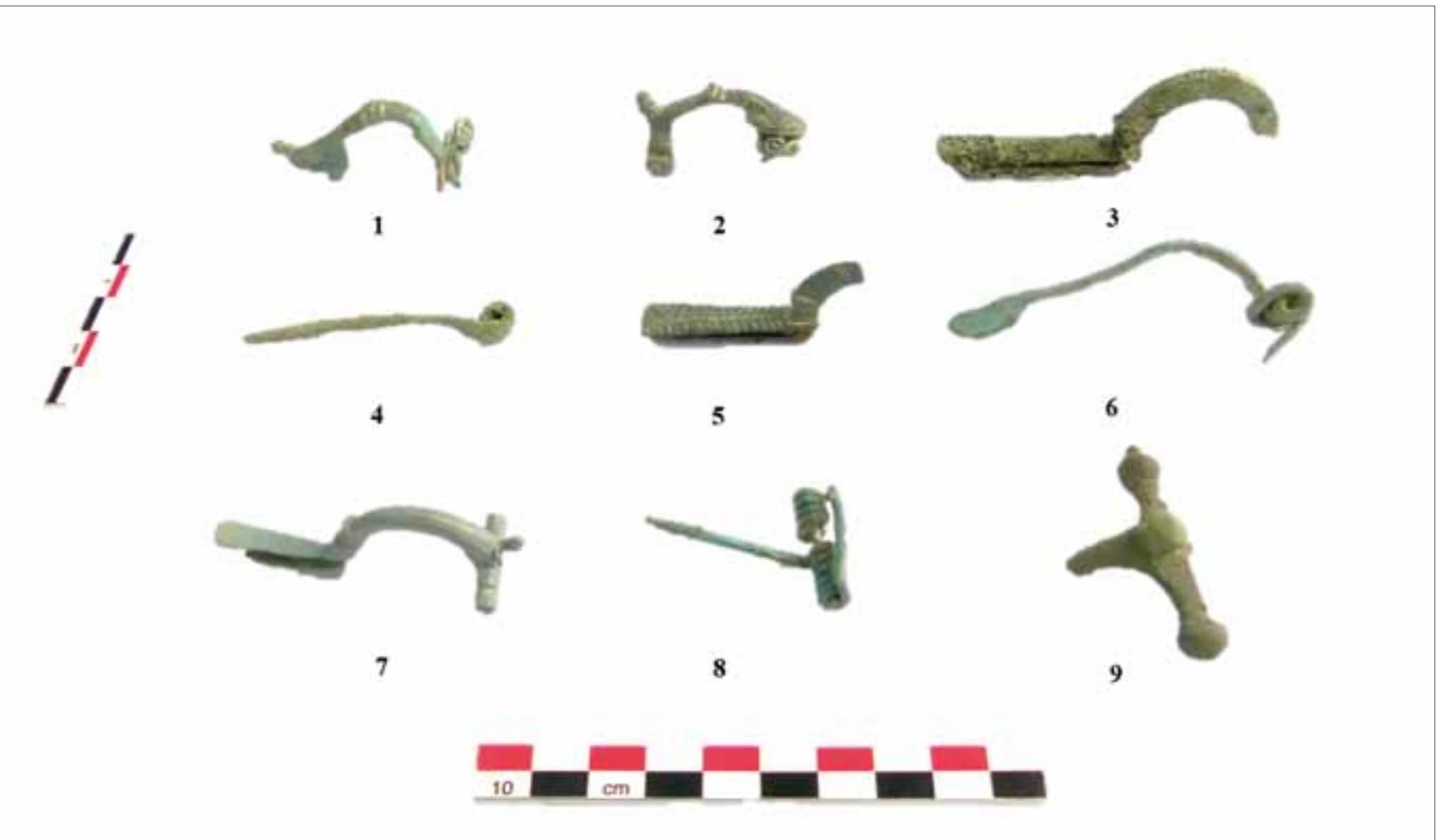 FIGURE 8. Fibulae (cat. no. 1, Pl. 1: 1; cat. no. 2, Pl. 1: 2; cat. no. 17, Pl. 1: 3; cat. no. 19, Pl. 1: 4; cat. no. 24, Pl. 1:5; cat. no. 43, Pl. 1: 6; cat. no. 55, Pl. 1: 7; cat. no. 87, Pl. 1: 8; cat. no. 95, Pl. 1:9). 