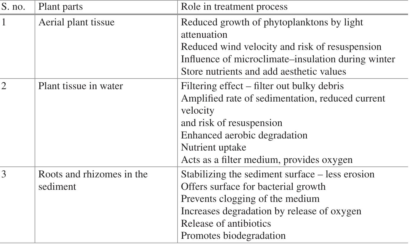 5 parts of macrophytes and their role in treatment process