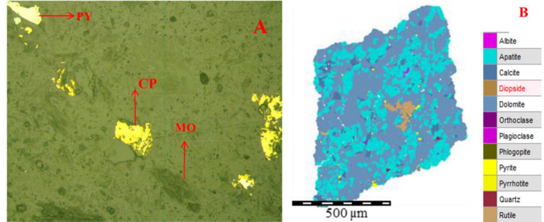 Figure 2. Mineralogical image of polished sample from the copper sulfide ore (A) and a MLA false color segmented particle image from the carbonaceous apati ore (B). 