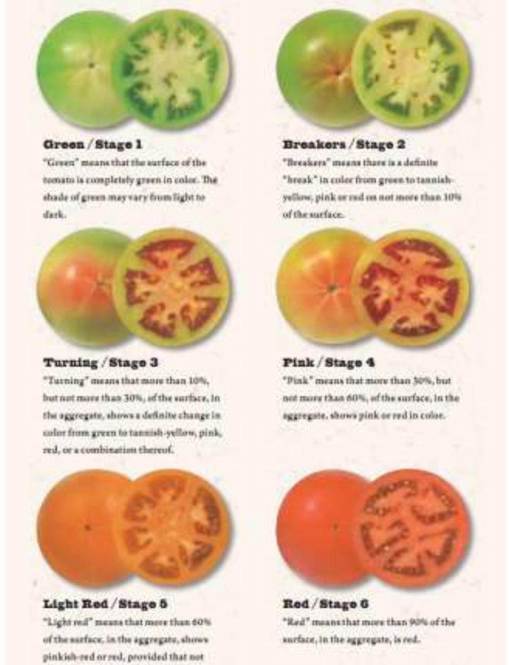 Persian Lime Ripeness Chart.pdf (PDF) Tomayto, Tomahto: A Machine Learning Approach for Tomato Ripening ...