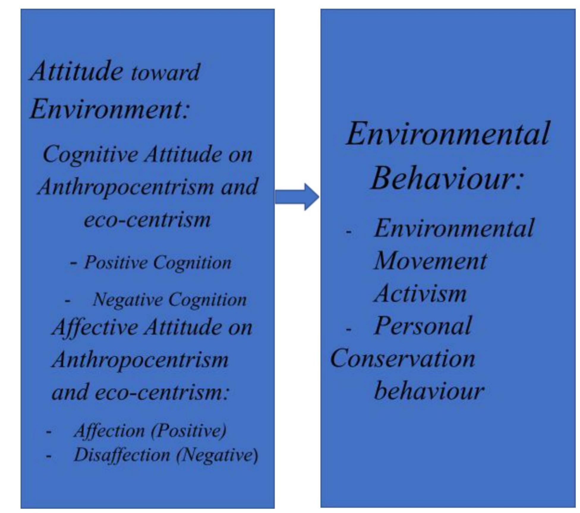 The conceptual framework reflects the concept of the study.