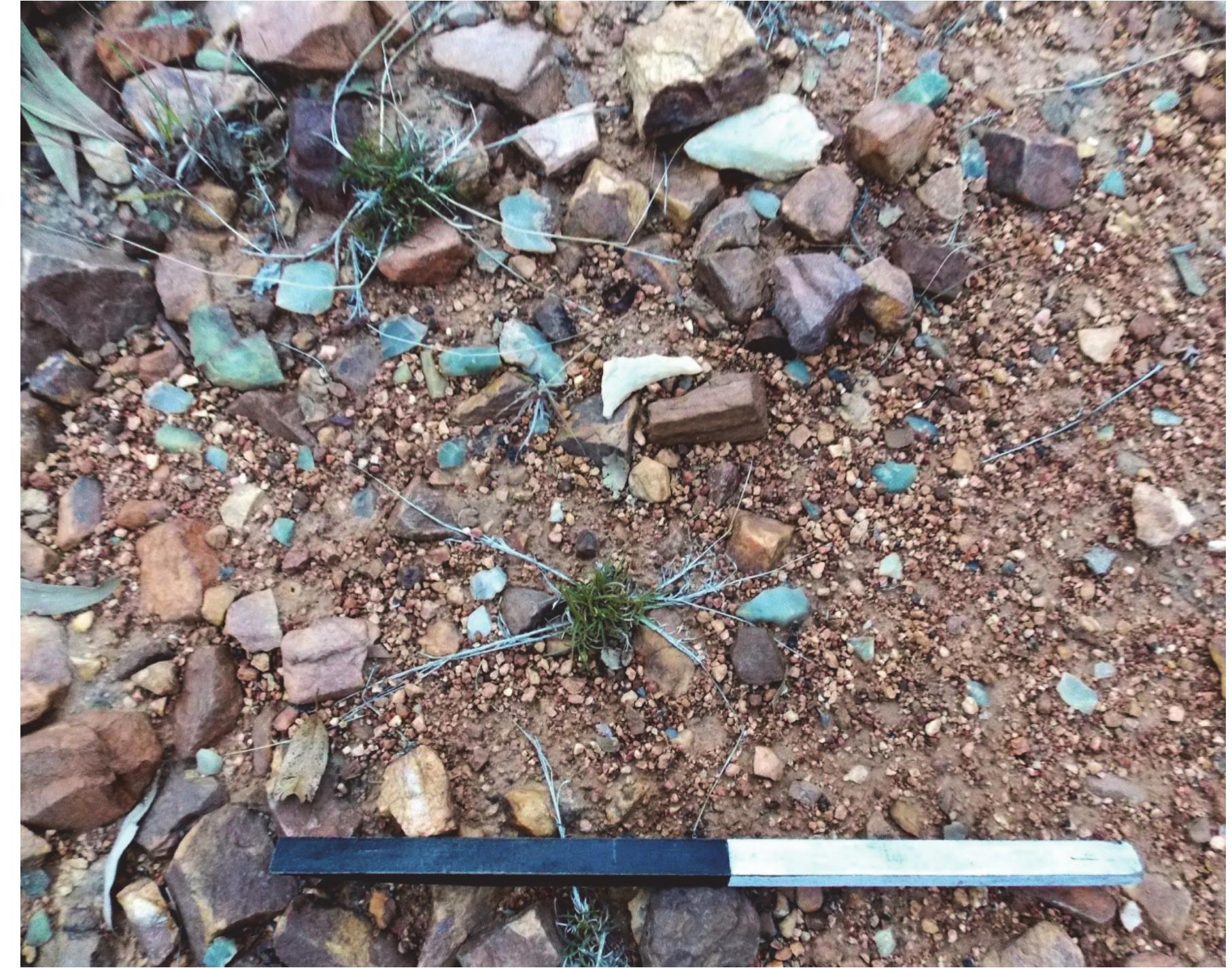 Figure 1 - from Late Pleistocene Lithic Utilisation Pattern