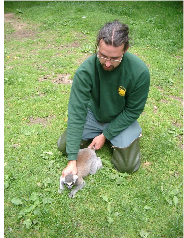 Figure 1 - from 3.13 AFRICAN PRIMATE HANDLING AND