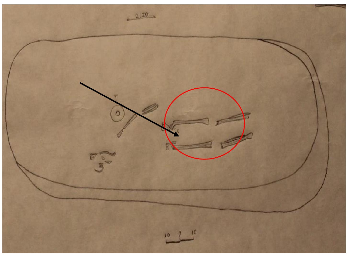 Топ 500 порно актрисасы