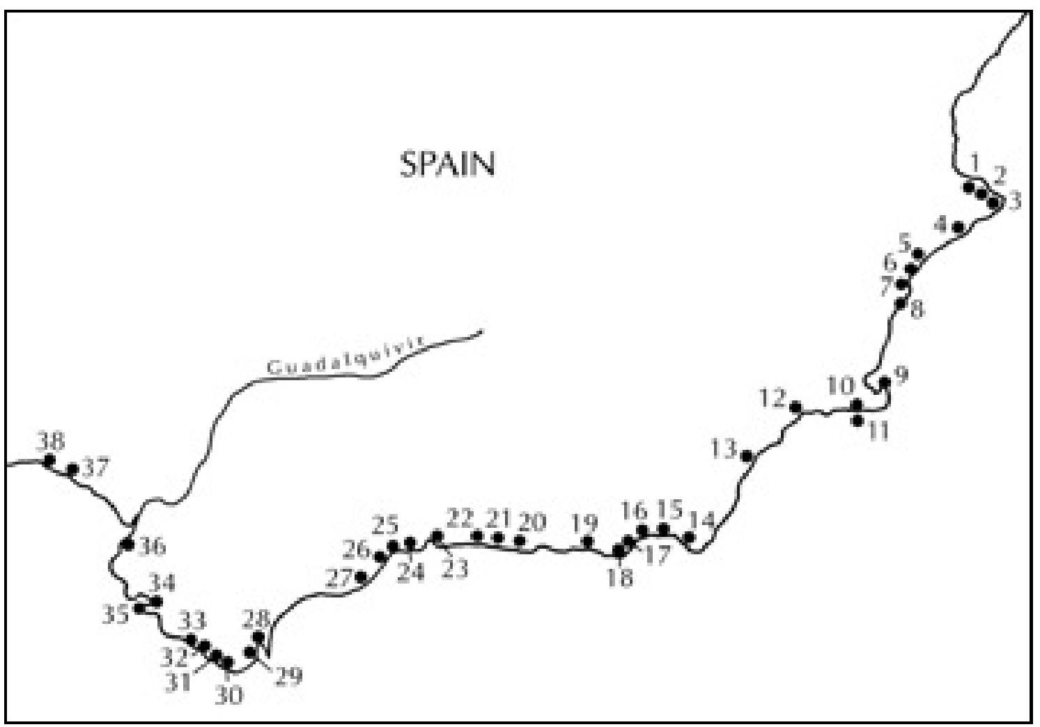 in earnest.'° By the Augustan period, several sites for the processing of fish began to develop along the Mediterranean and Atlantic coastlines of the peninsula, and the exportation of their products at this time is demonstrated by finds of southern Spanish fish-sauce amphorae as cargo of the mid-first century BC “Le Titan” shipwreck (found off southern France),!” and in the Augustan levels at La Longarina, Ostia.'* Additionally, fish products from Spain, specifically garum, are also documented by contemporary literary sources such as Horace (Sat. 2.8.46) and also Strabon (3.2.6).!°  Tha Raman Lich wranncocing citond in aniithartmn Cnnin wraroa citiataA alnanny thn 