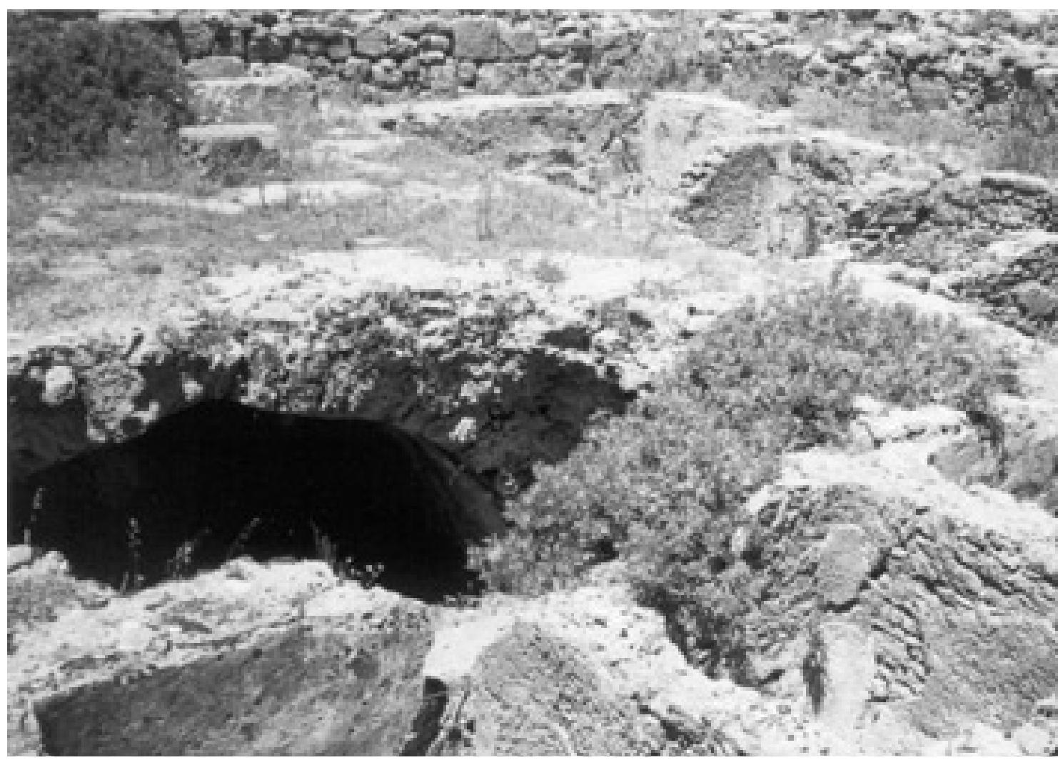 Fig. 18. The cetariae of Cotta around the central workspace. The workspace floor (upper left) has now given away, revealing the cistern (photo: A. Trakadas). 