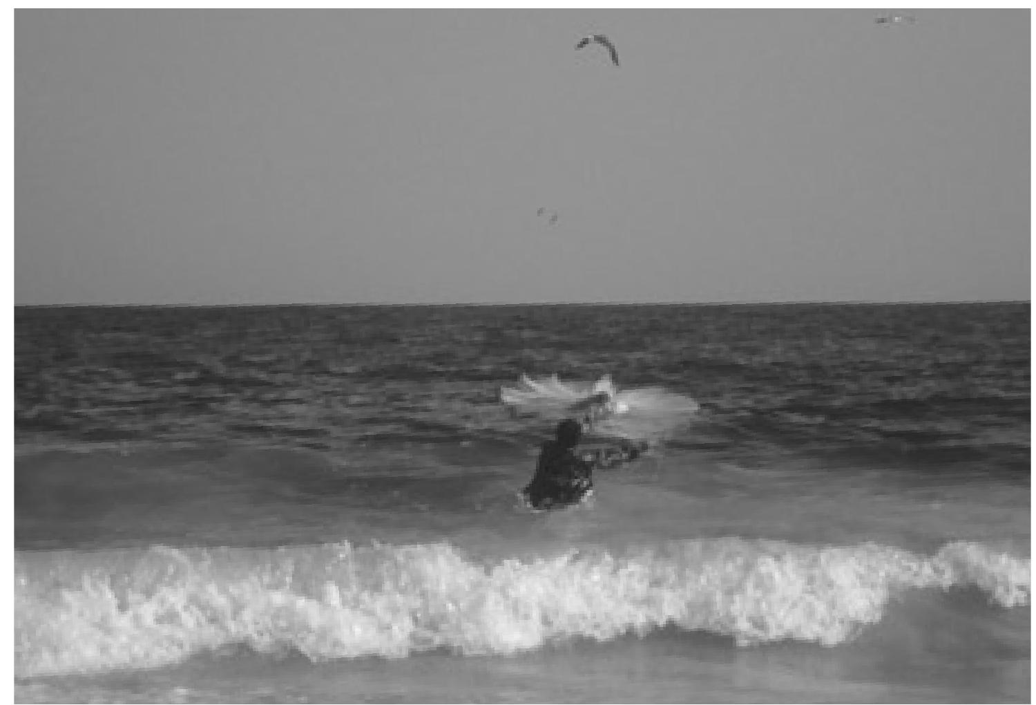 were primitive and the most efficient of the tools available, the fishing-net, was never used from boats: net fishing was “a completely shore based tech- nology”.’ Drawing on data from nineteenth- and twentieth-century fishing statistics, he further argues that the fishing technology of the ancients would have produced risible catches, no more than a few kilos per day; so little that, under normal circumstances, it would barely support a fisherman’s family or make sea fishing a viable full-time occupation. In Gallant’s view, fishing formed a complement to farming, a supplementary source of nutrition and income when the harvest failed. The relevance of modern fishing statistics to antiquity is discussed by Jacobsen elsewhere in this volume; the present paper aims to examine the question of fishing productivity in the light of fishing technology. 