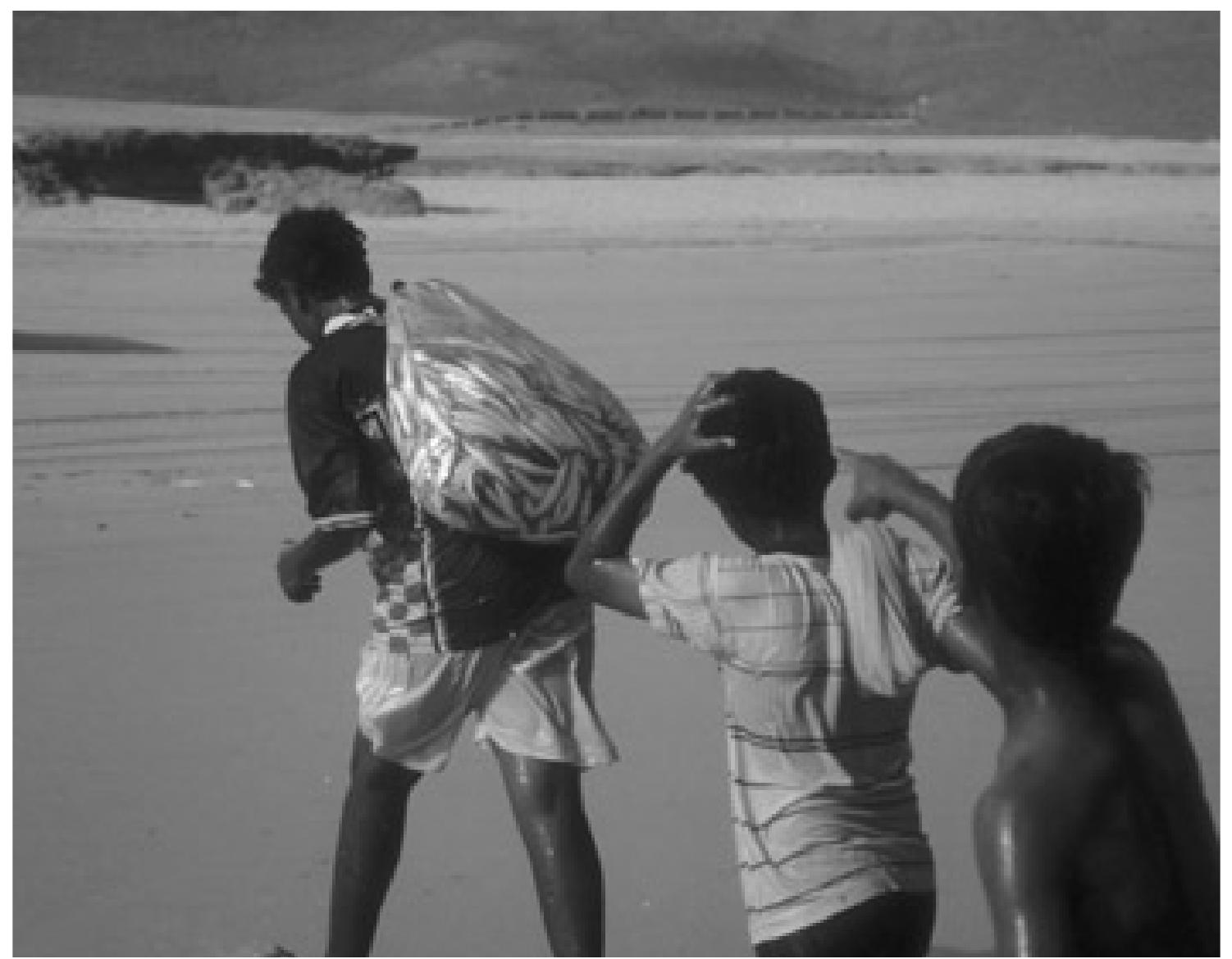 Fig. 2. The result of one throw of the casting-net from shore (photo: Jorgen Christian Meyer). 