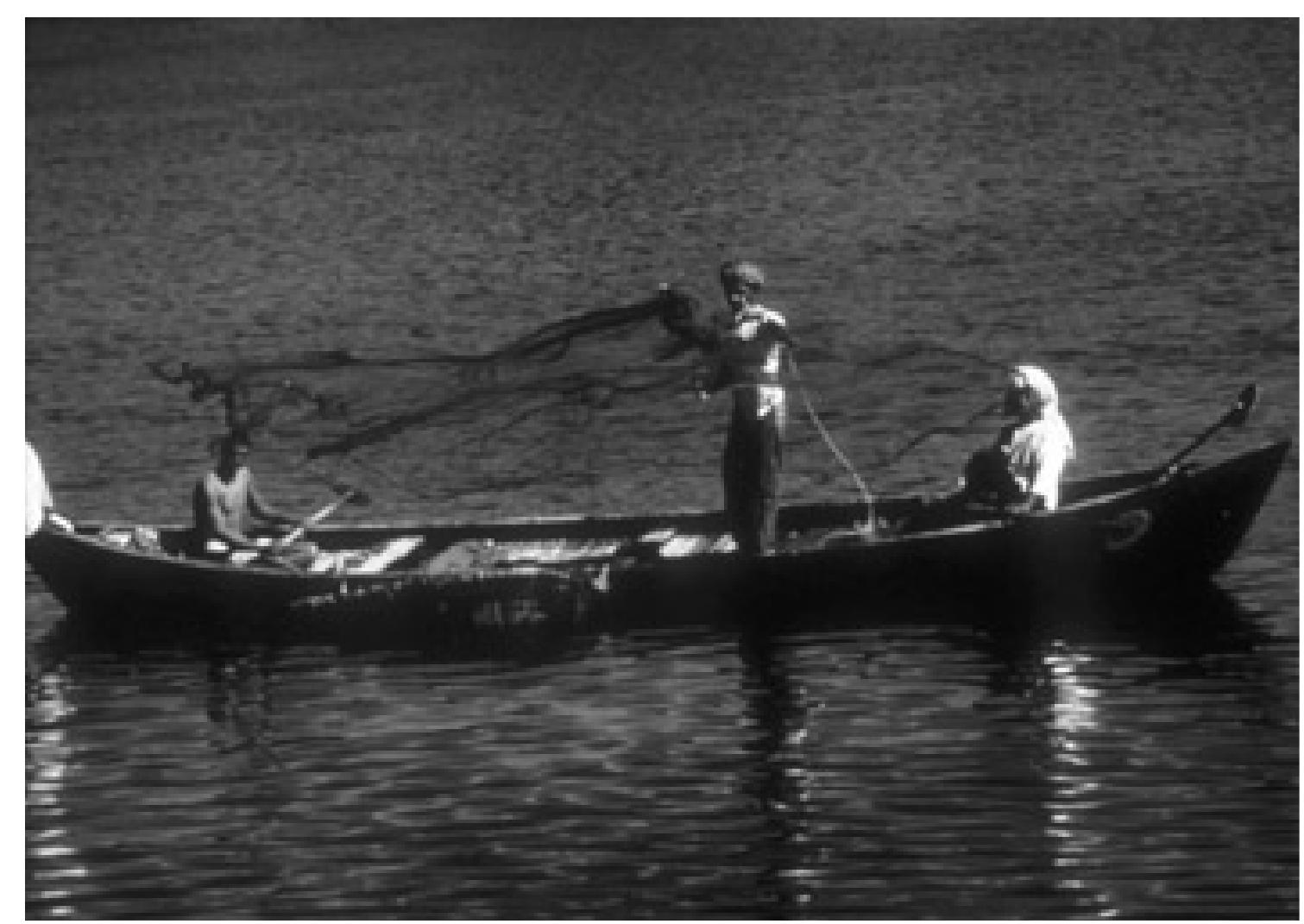 3a-b. Using the casting net from a boat, Oman, 1966 (photo: Daniel J. Bosch). 
